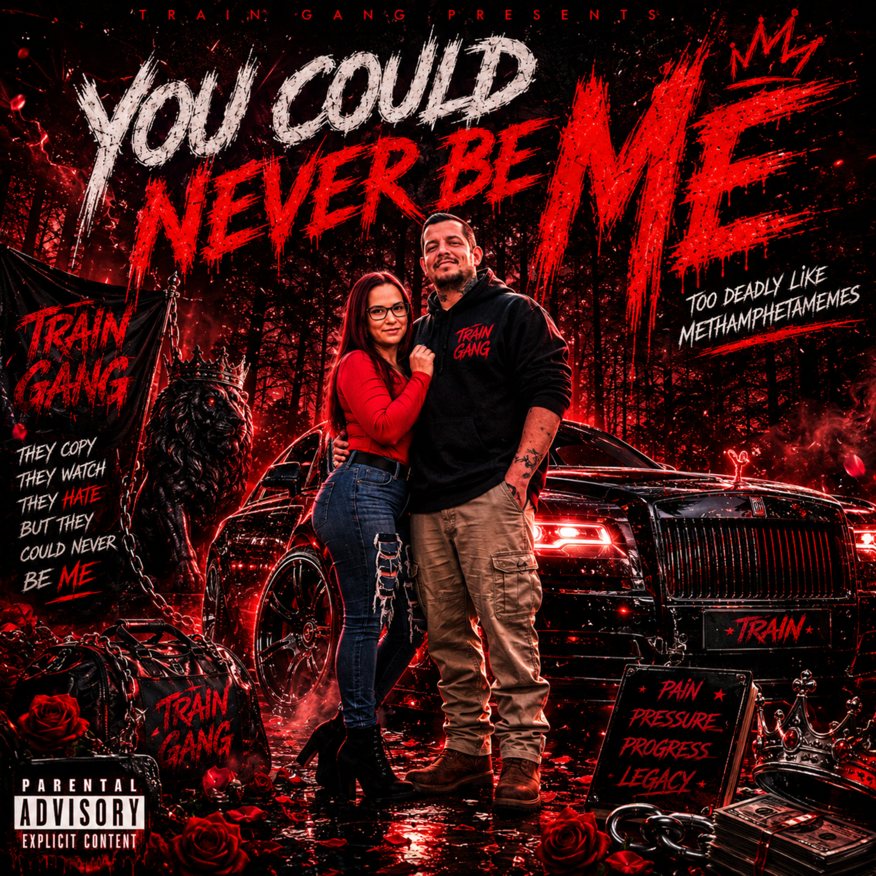 You Could Never Be Me by TrainGang cover art