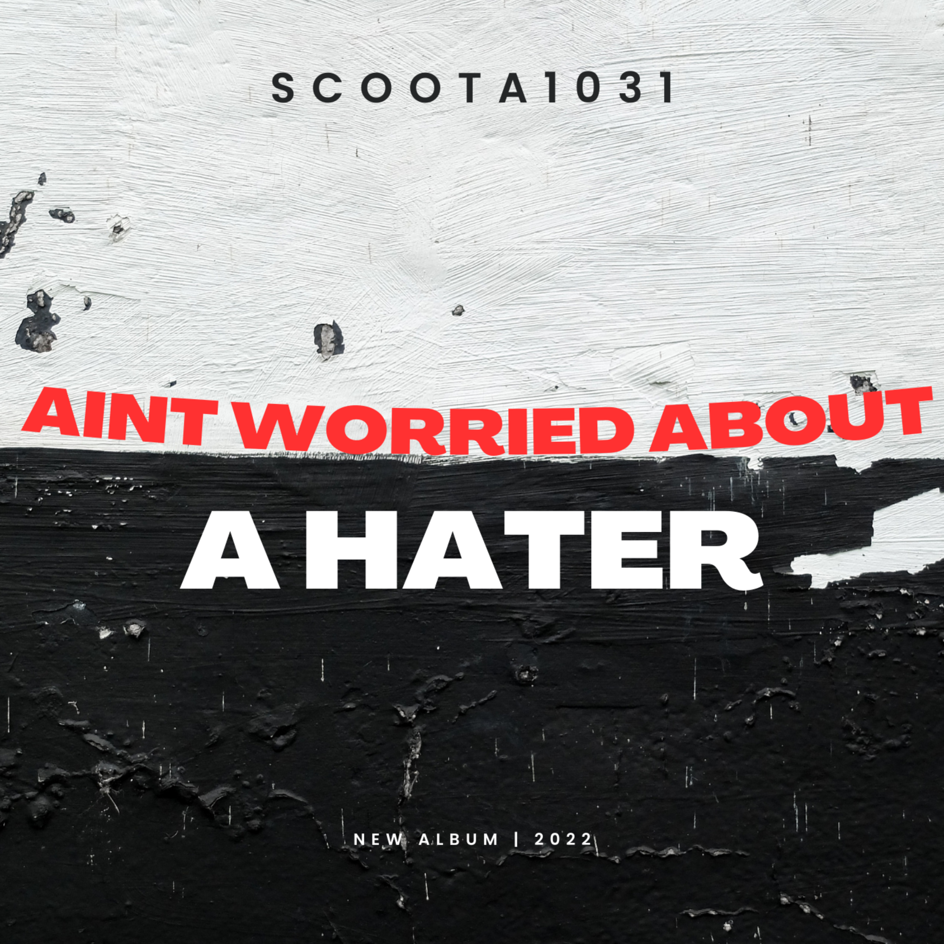 AINT WORRIED ABOUT A HATER by Scoota1031 cover art