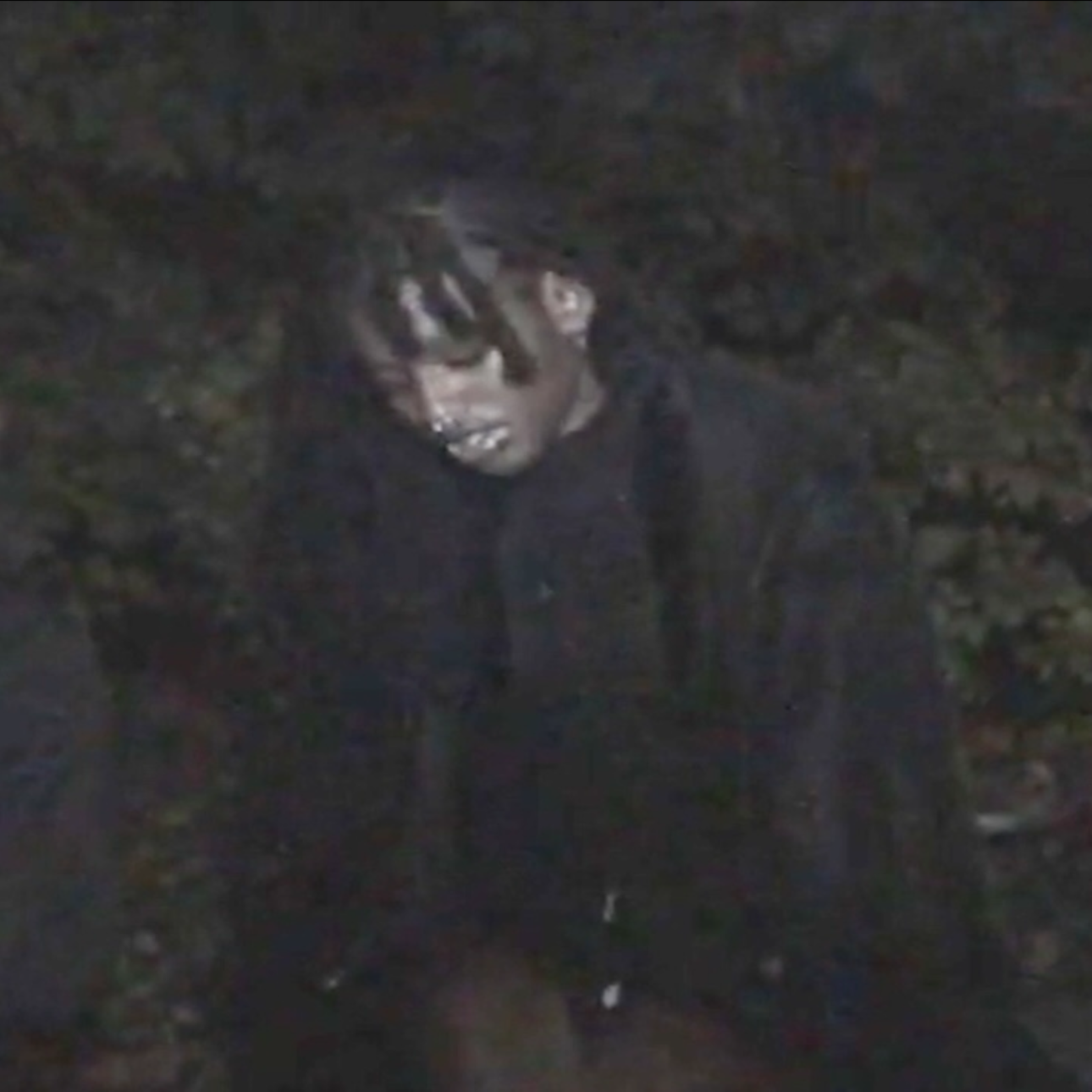 delusional af artwork