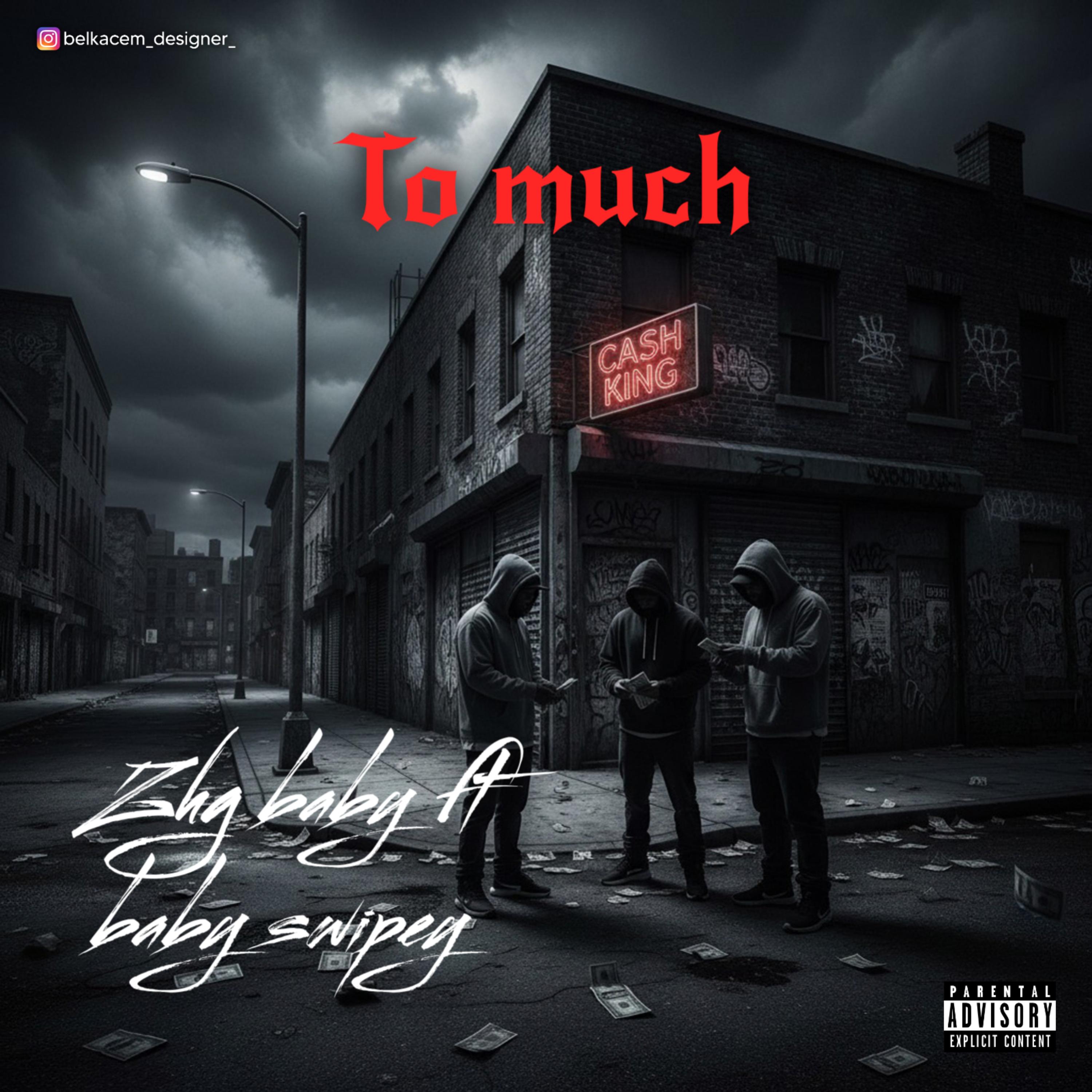 Too Much by Zhg Baby cover art
