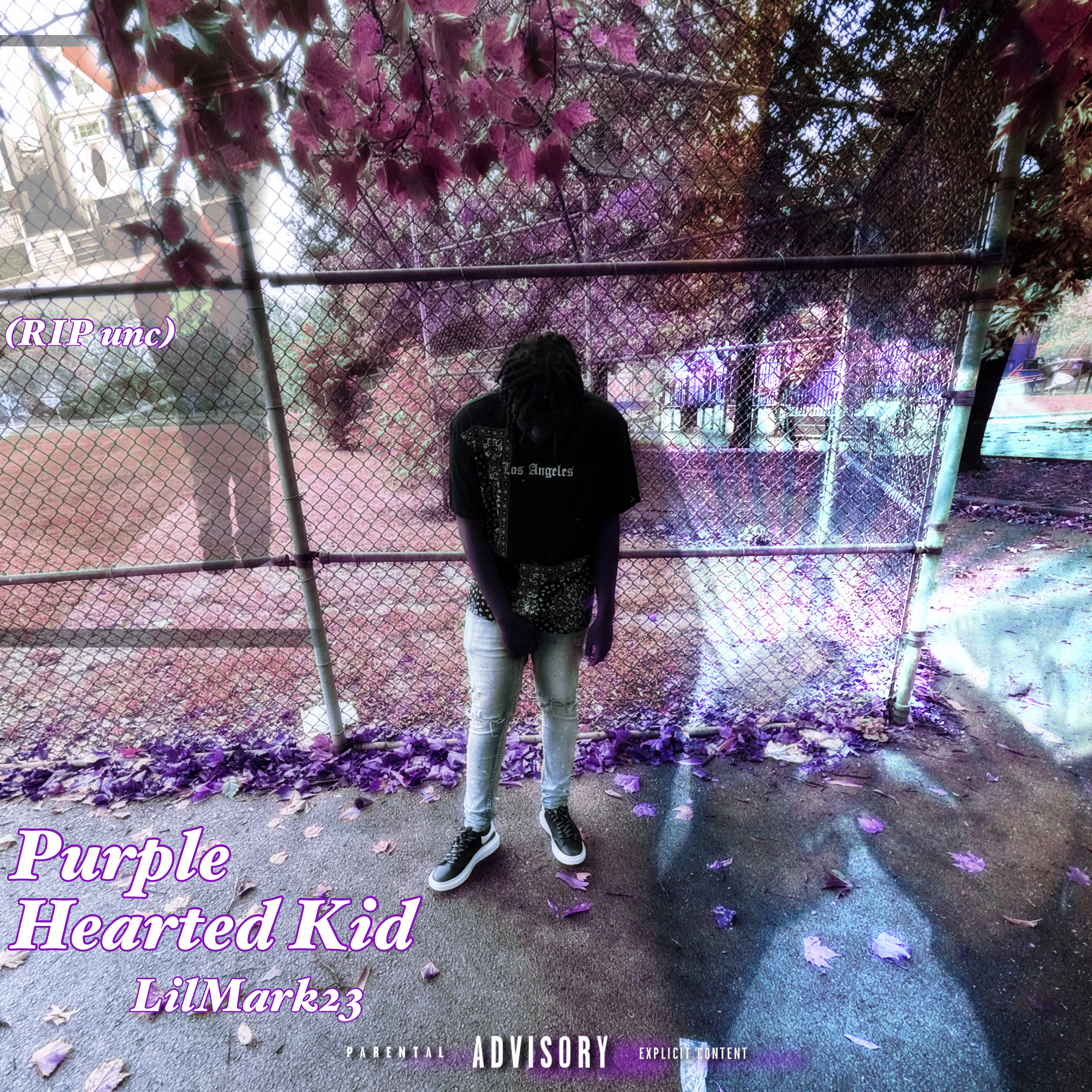 Purple Hearted Kid artwork
