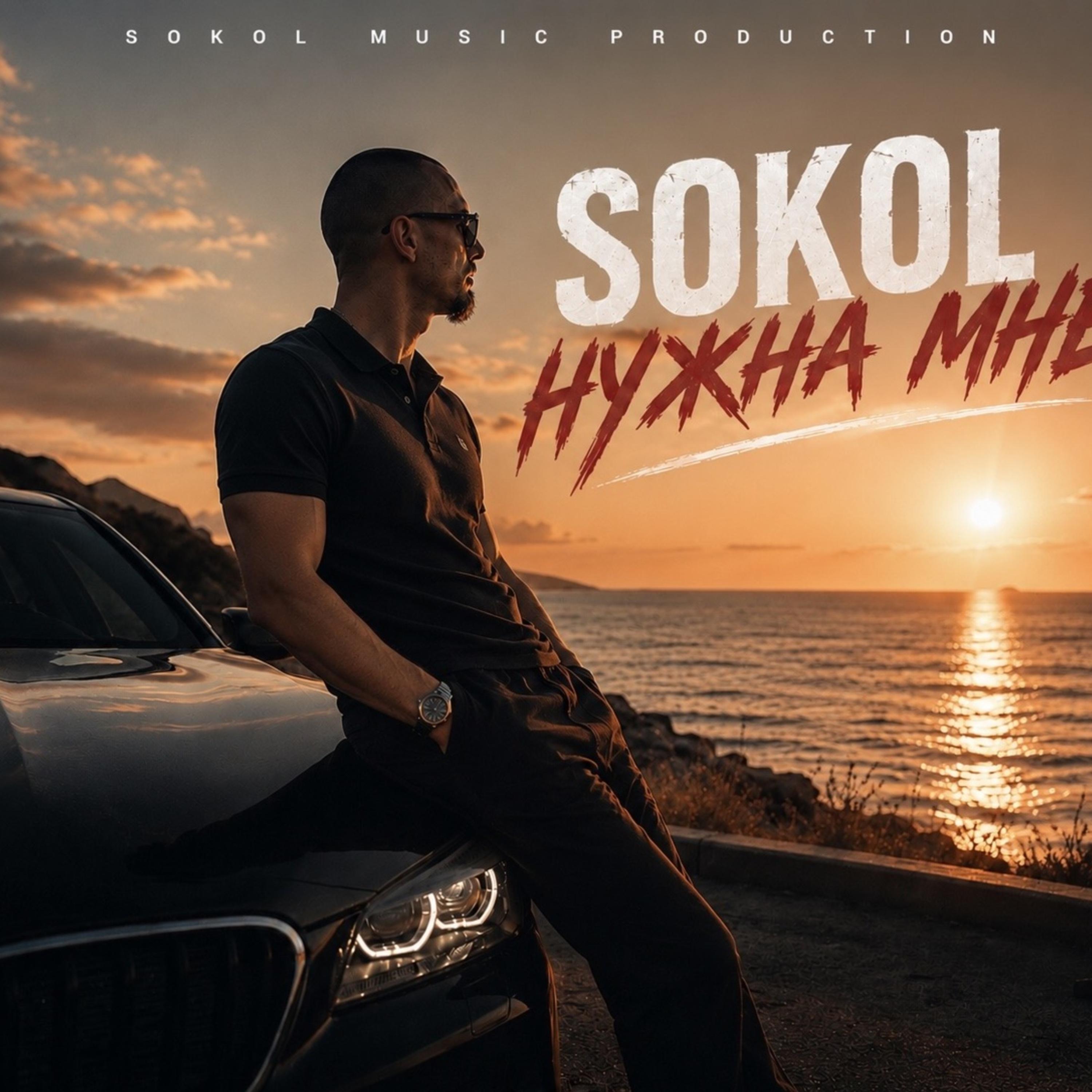 Нужна мне by Sokol cover art