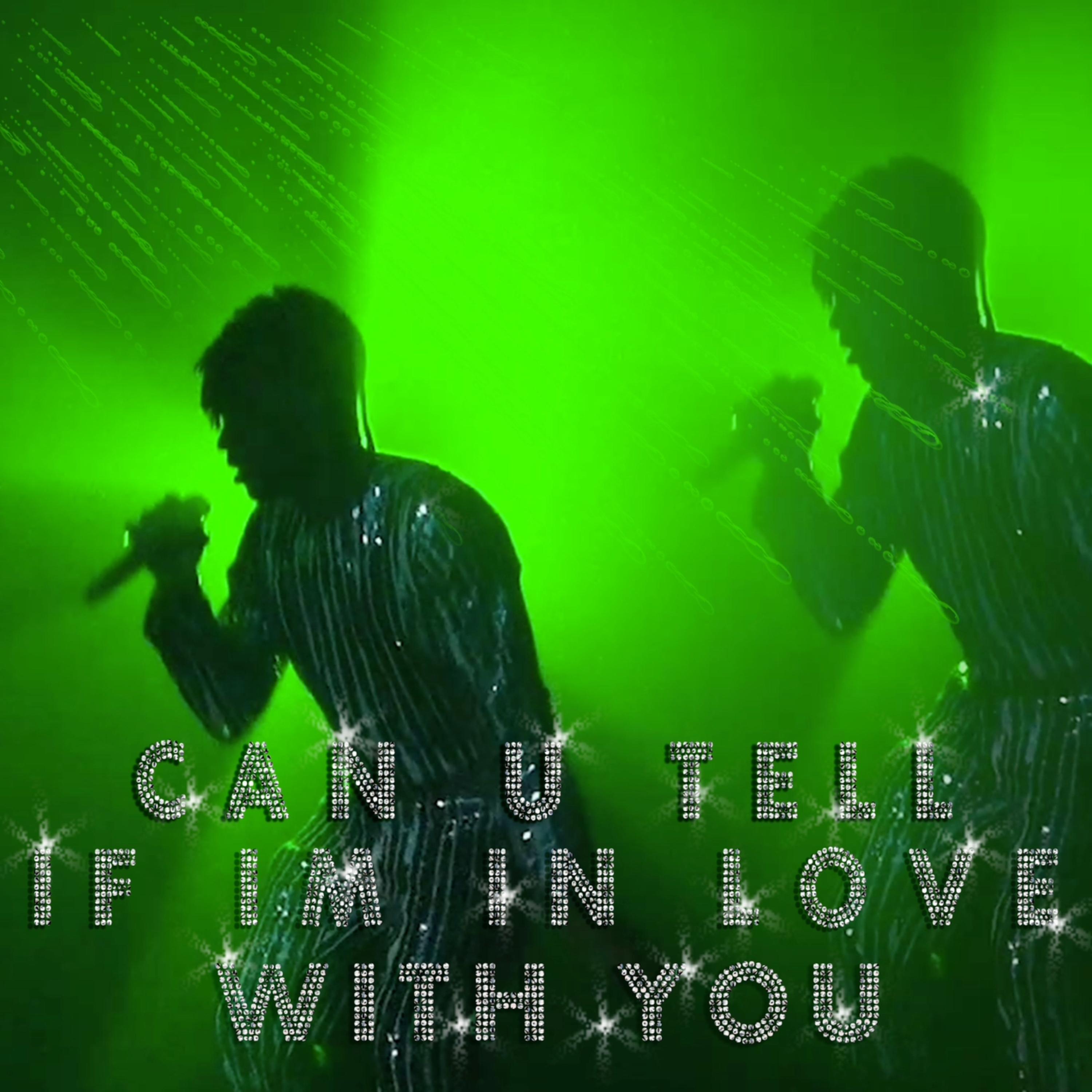 Can You Tell If I'm In Love With You artwork