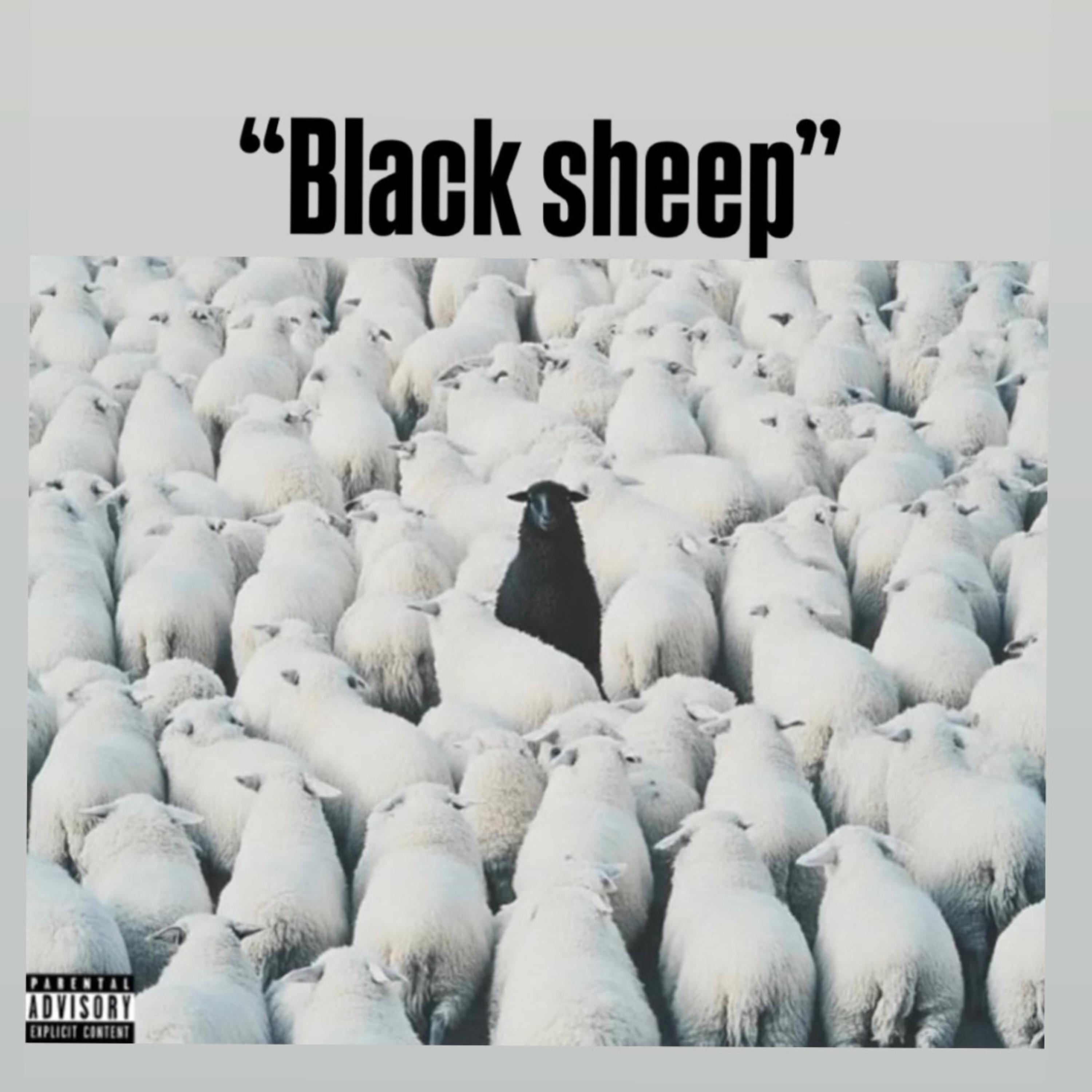 Black Sheep artwork