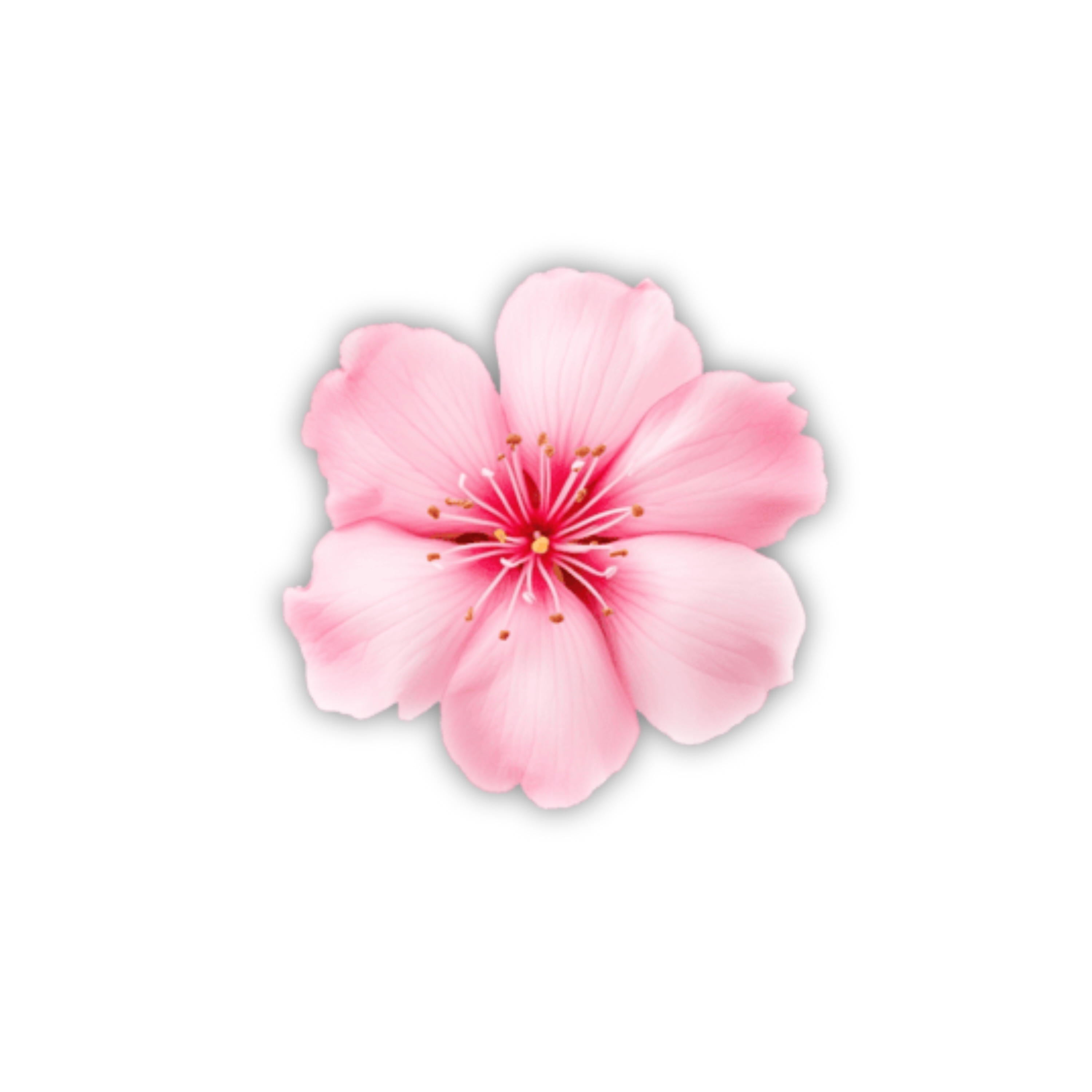 flowers artwork