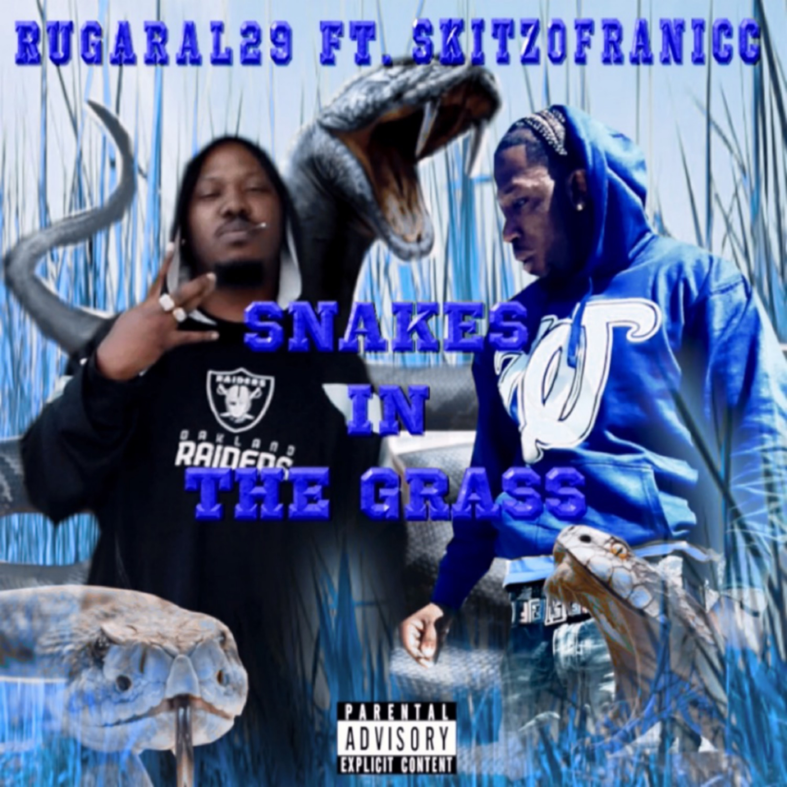 Snakes In The Grass artwork