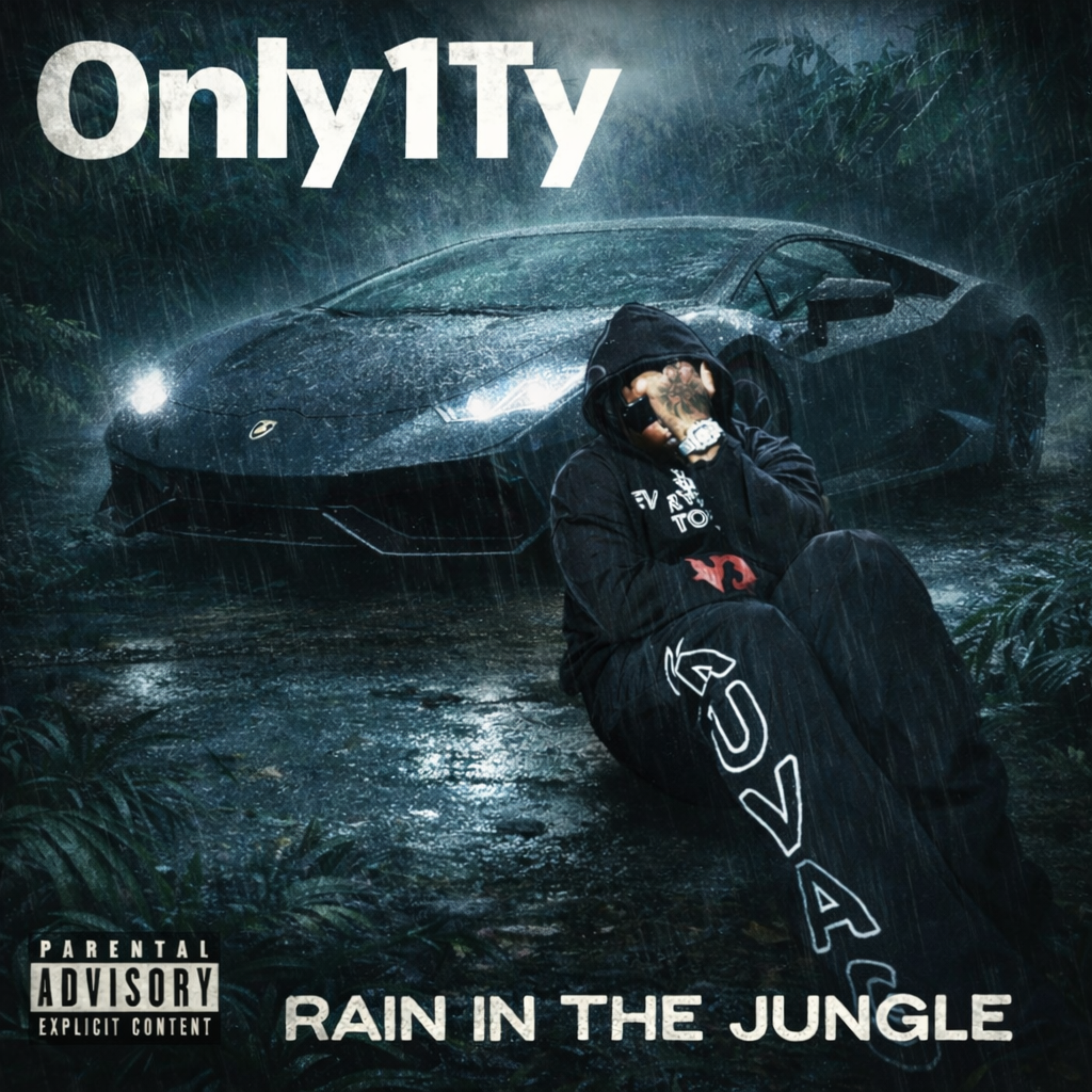 Rain In The Jungle artwork