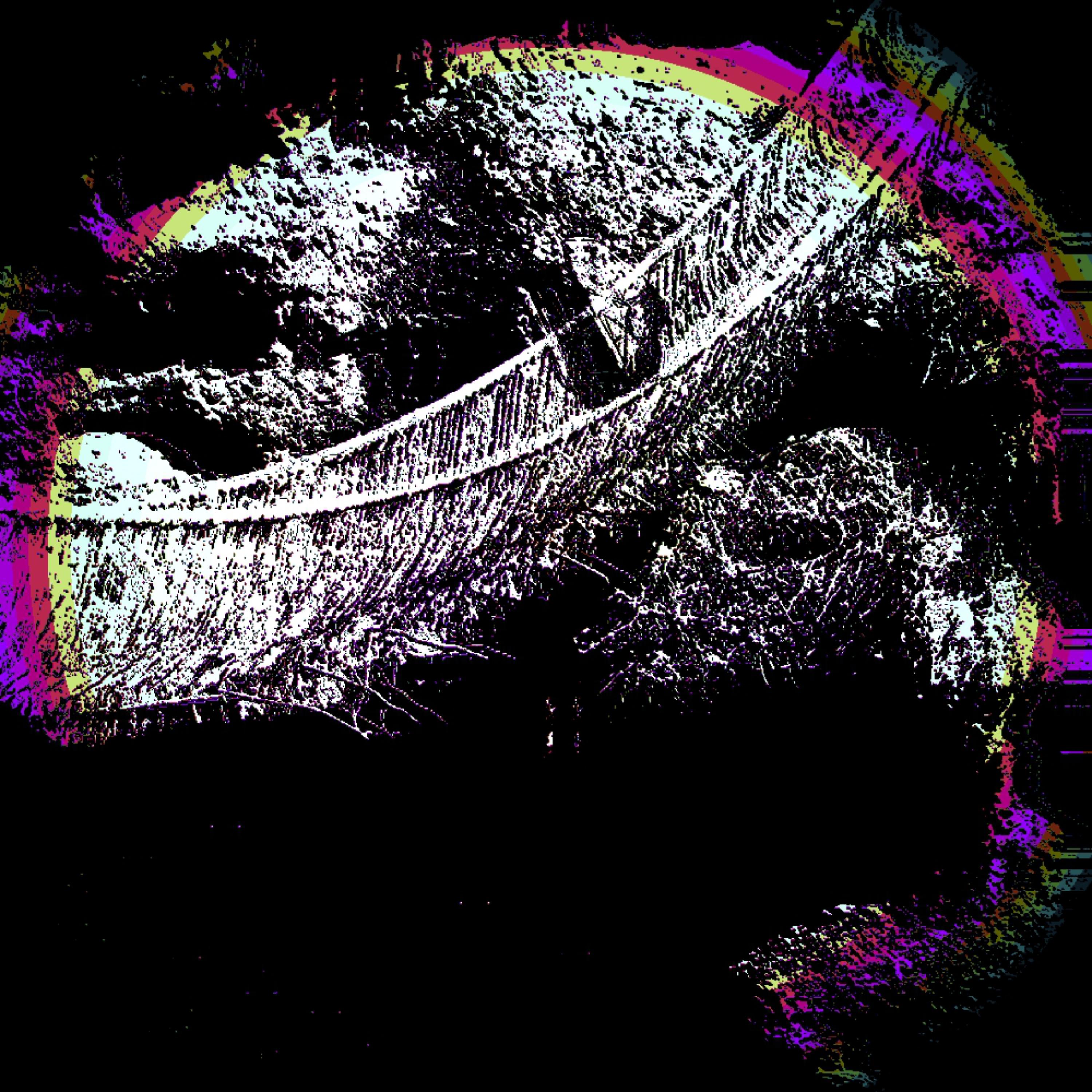 The Next Step artwork