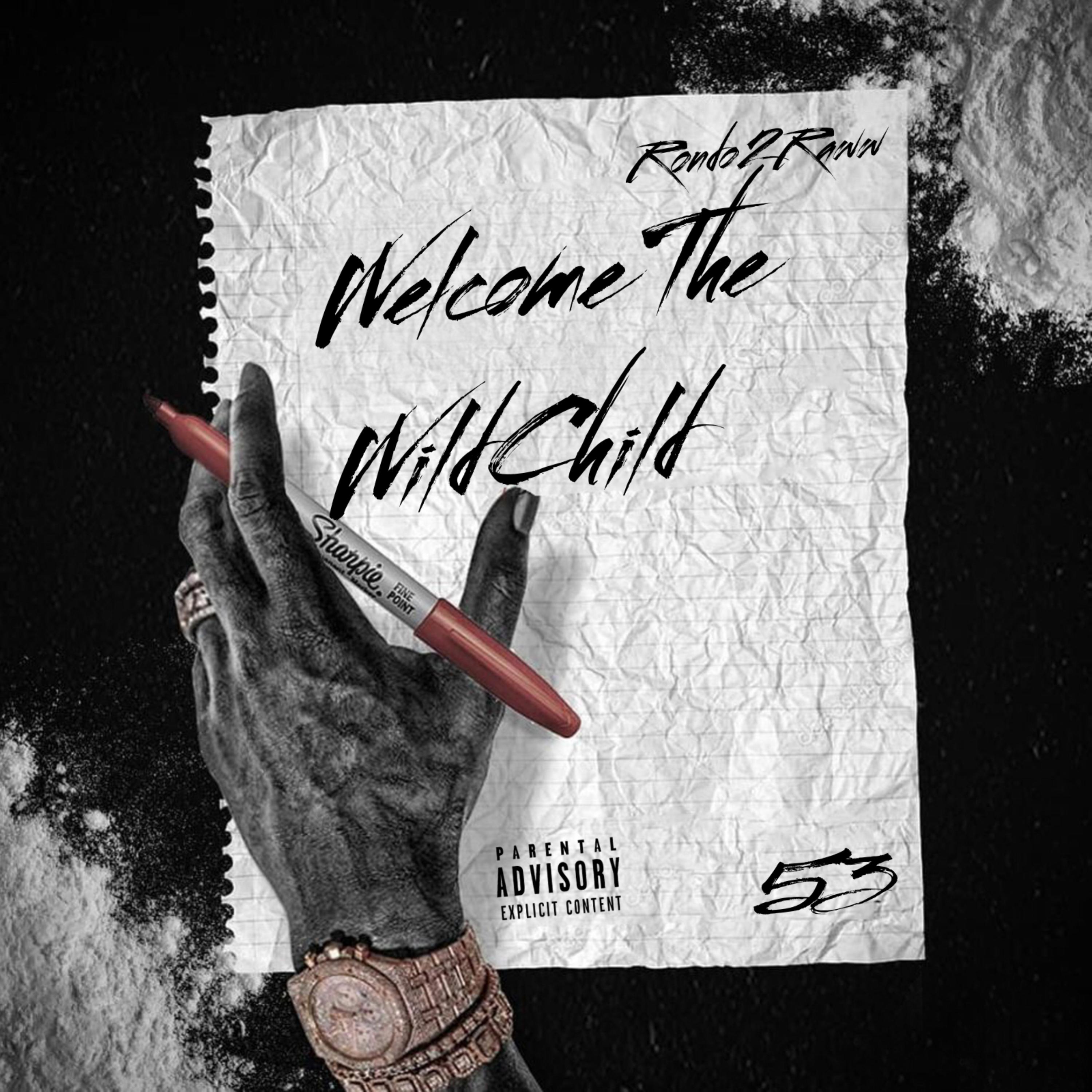 Welcome The WildChild artwork