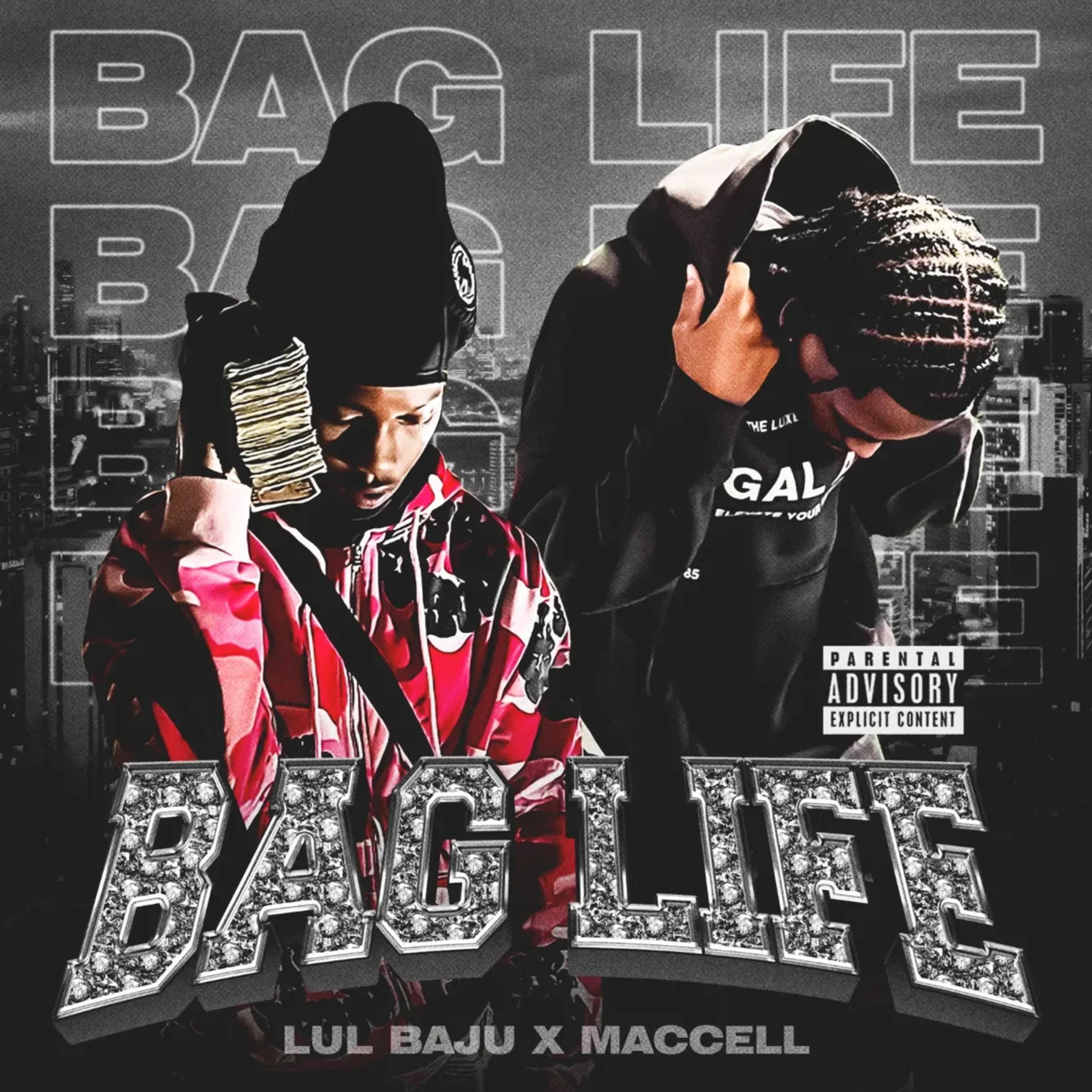 Bag Life artwork