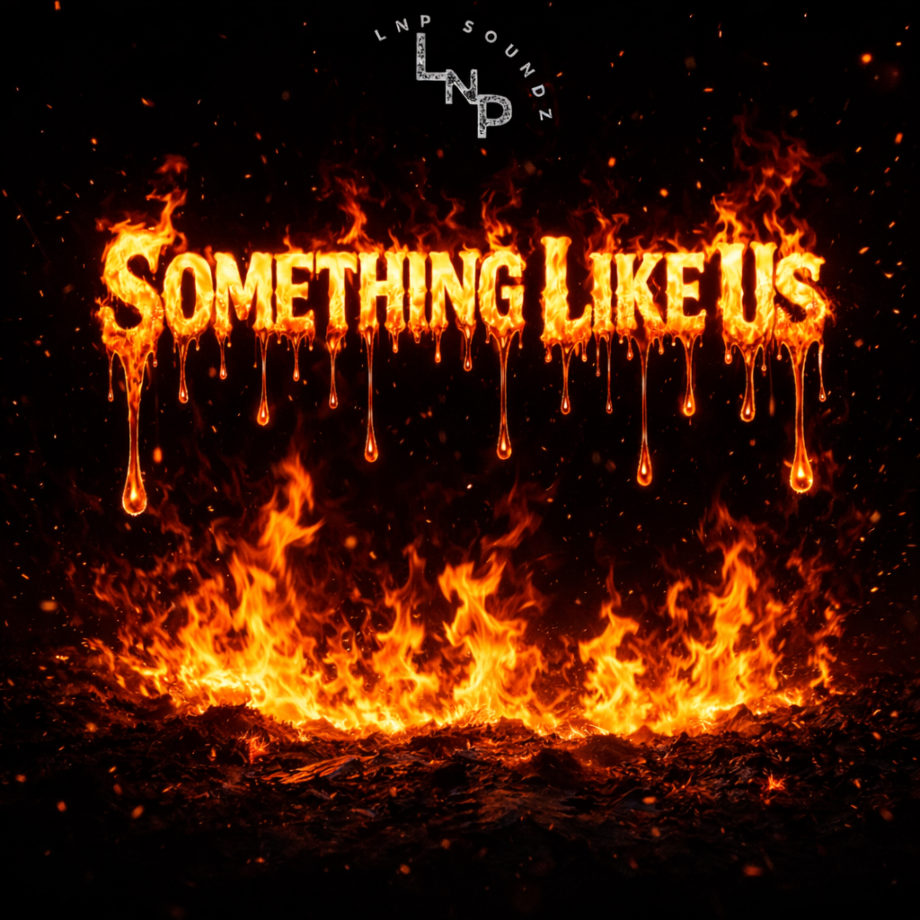 SOMETHING LIKE US by LNP SOUNDZ cover art