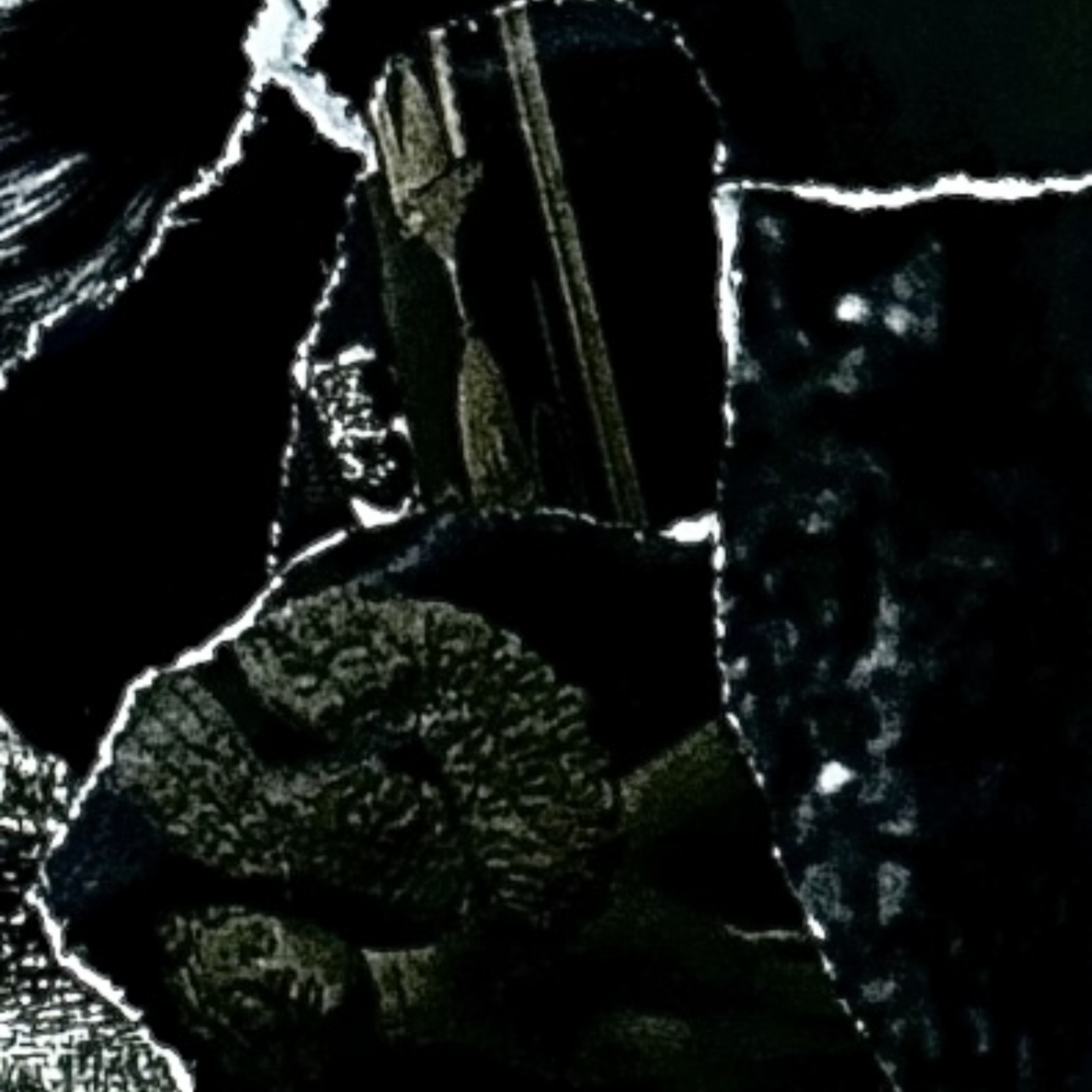 Oh Wander Satyr artwork