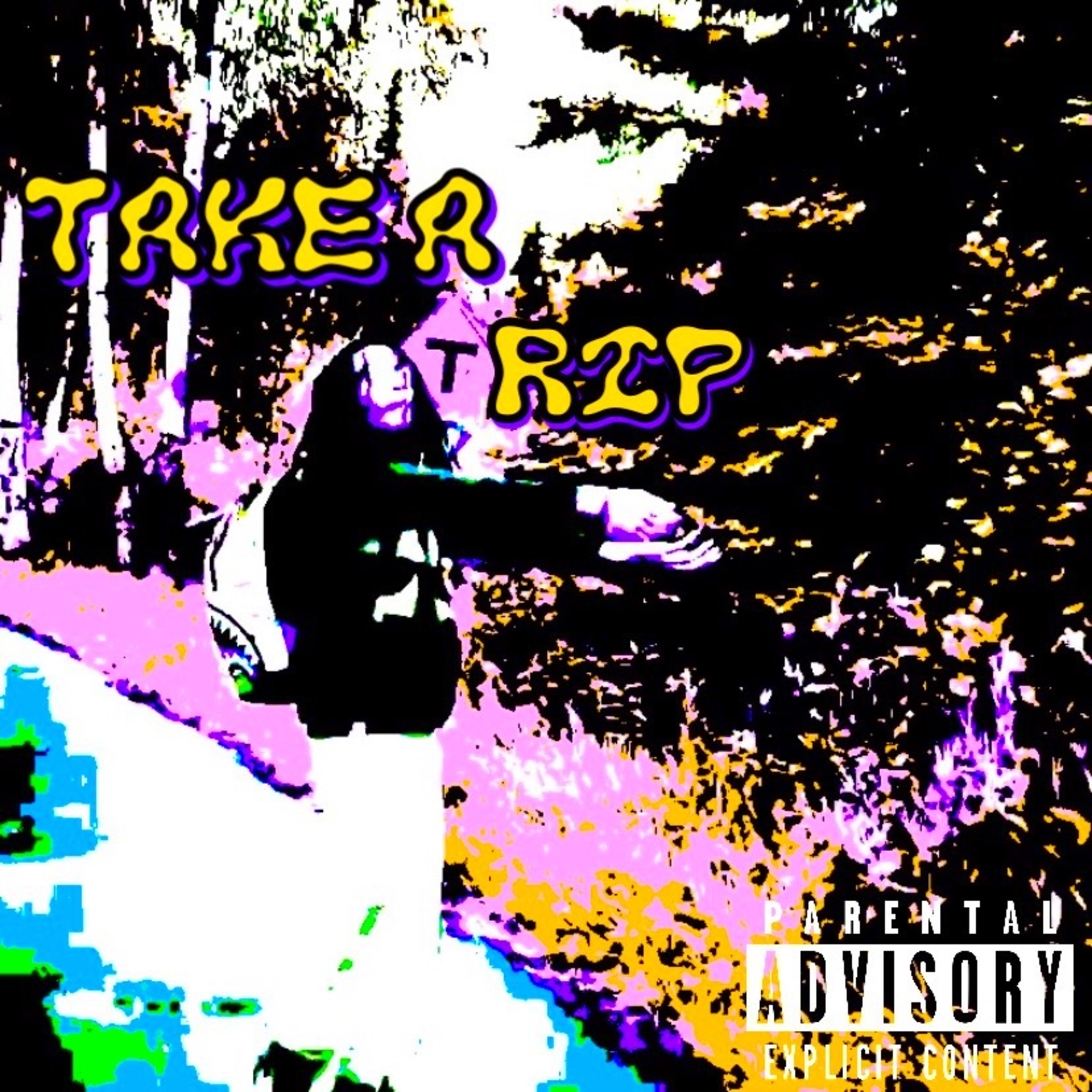 Take A Trip. artwork