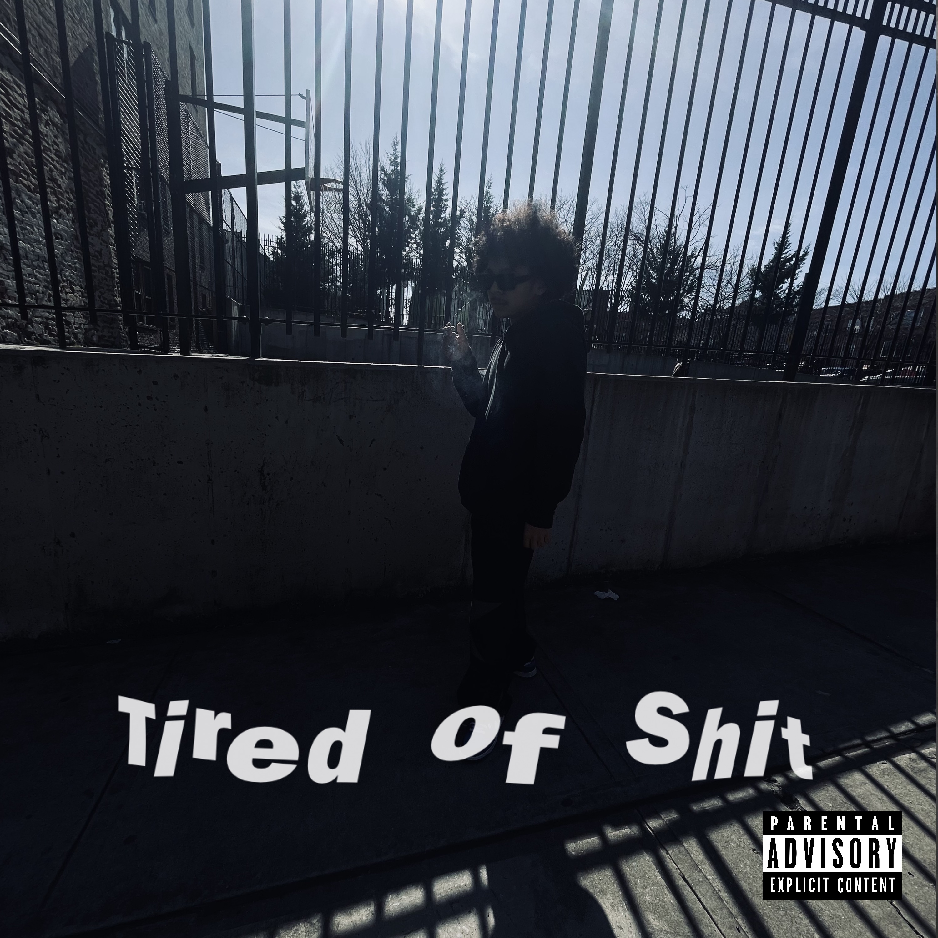 Tired of Shit artwork