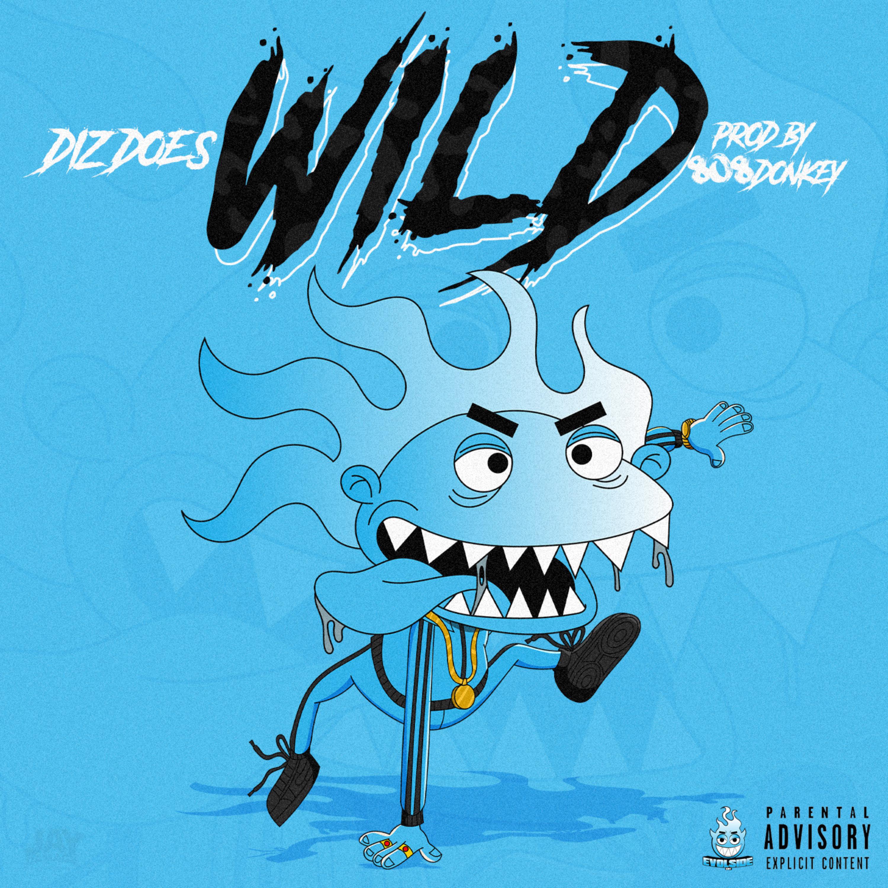 Wild by Diz Does cover art