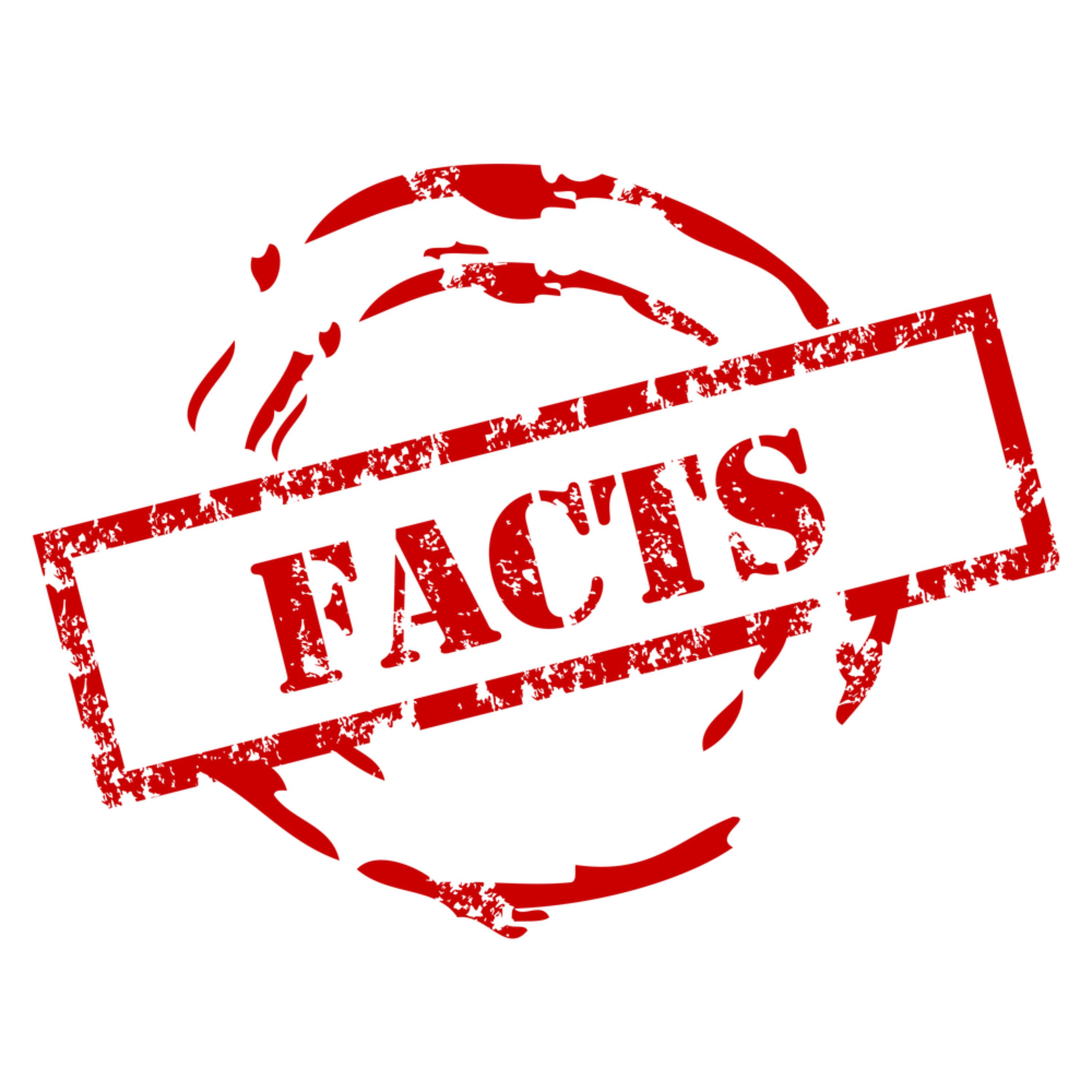 Facts artwork