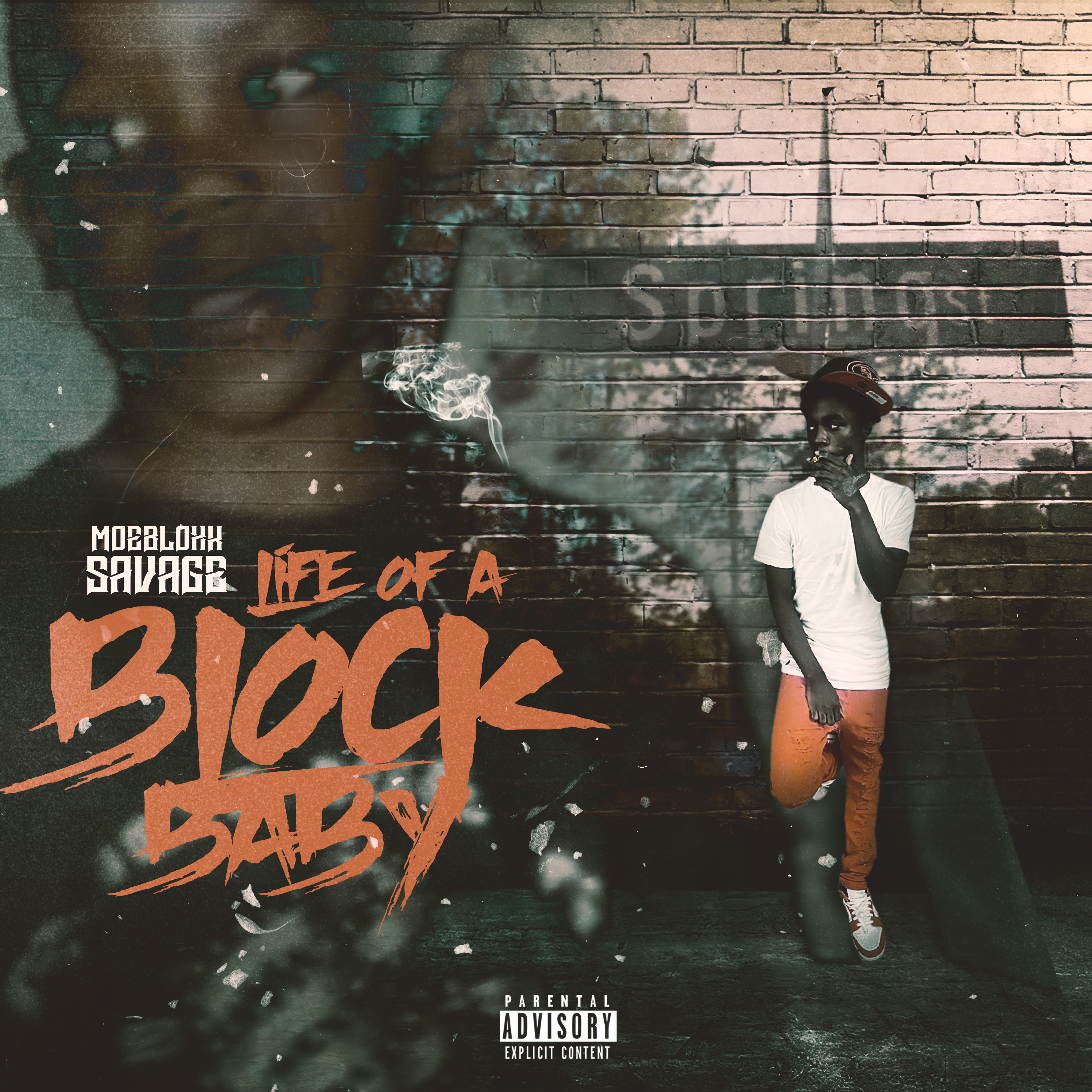 Life Of A Block Baby by MoeBlock Savage cover art
