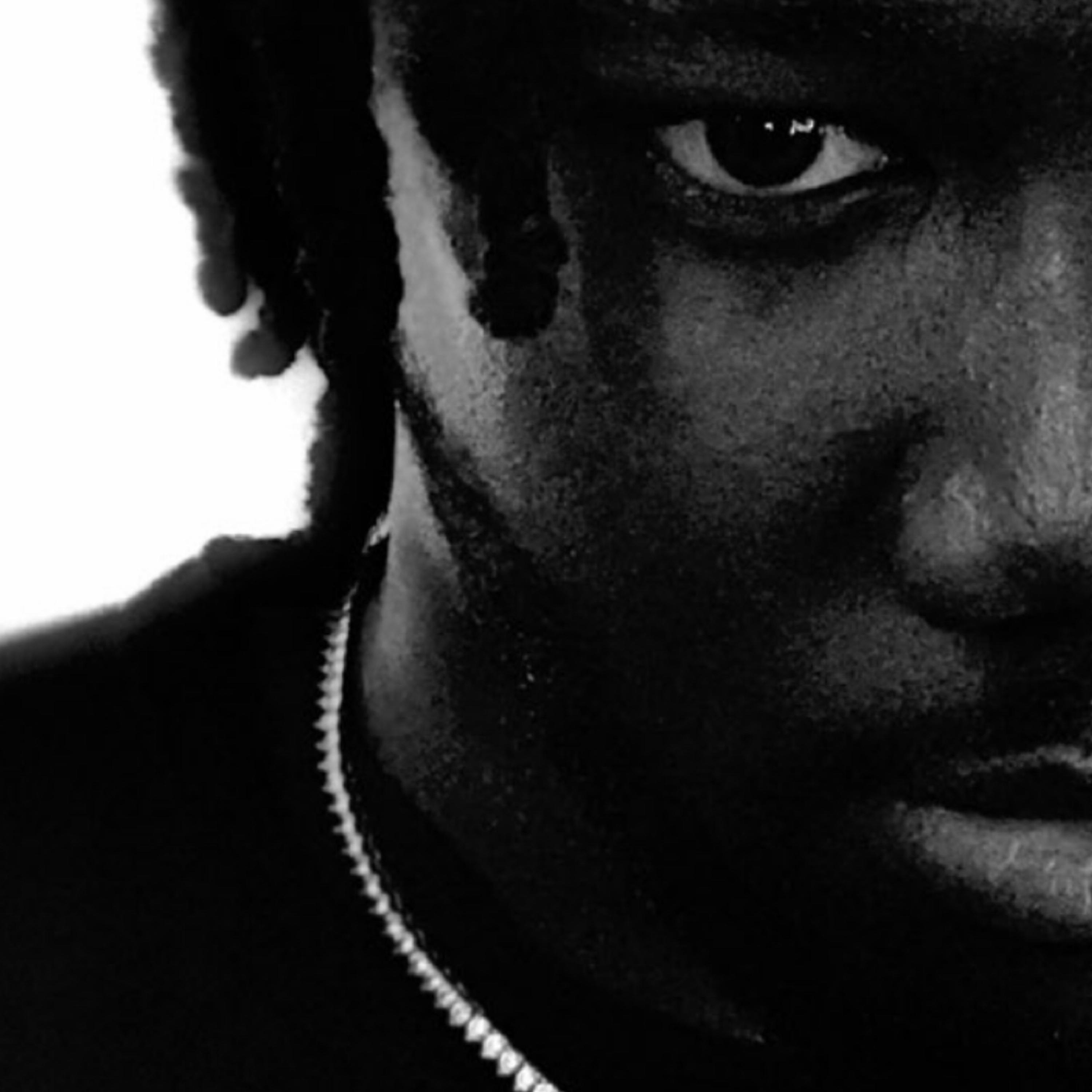 Black in America artwork