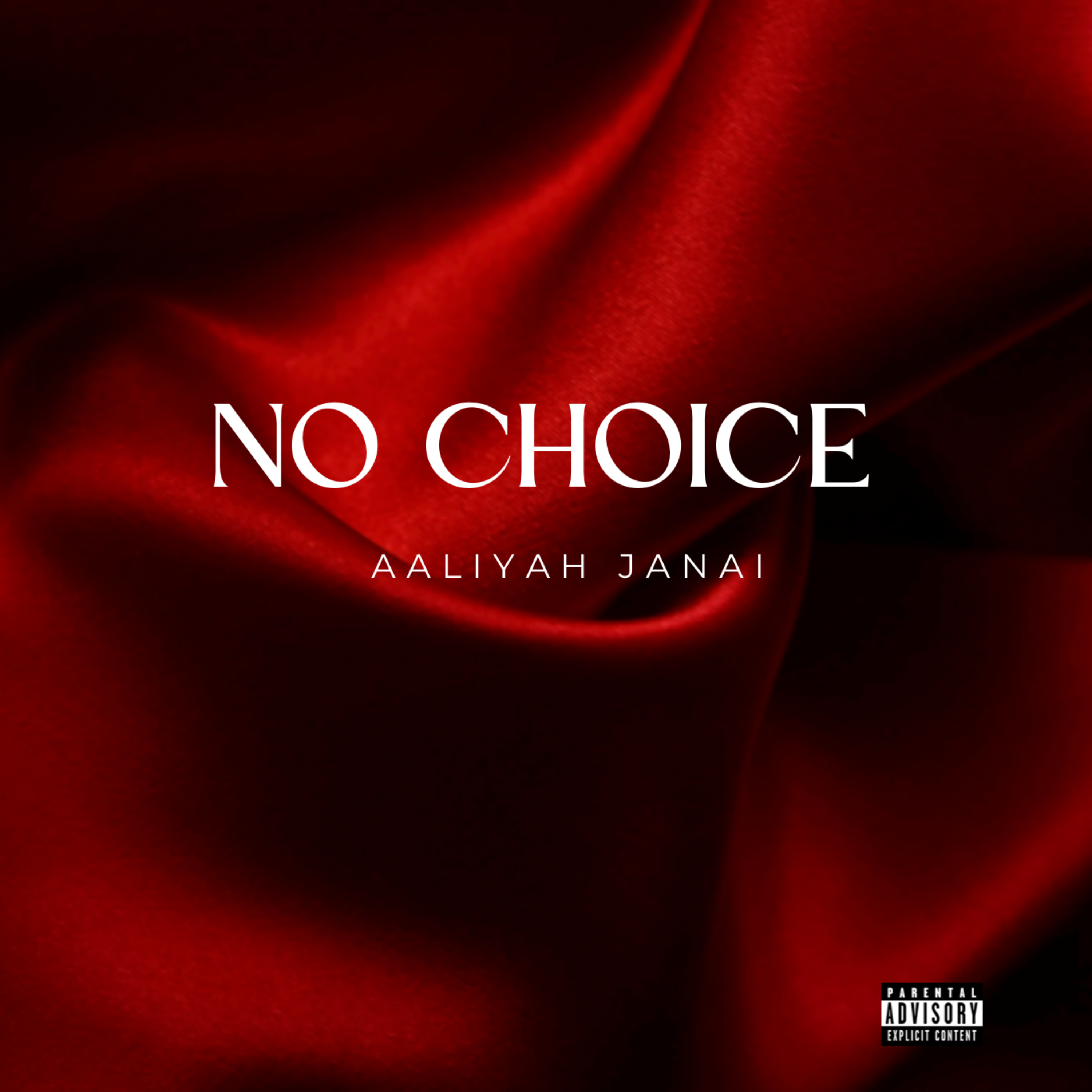 No Choice artwork