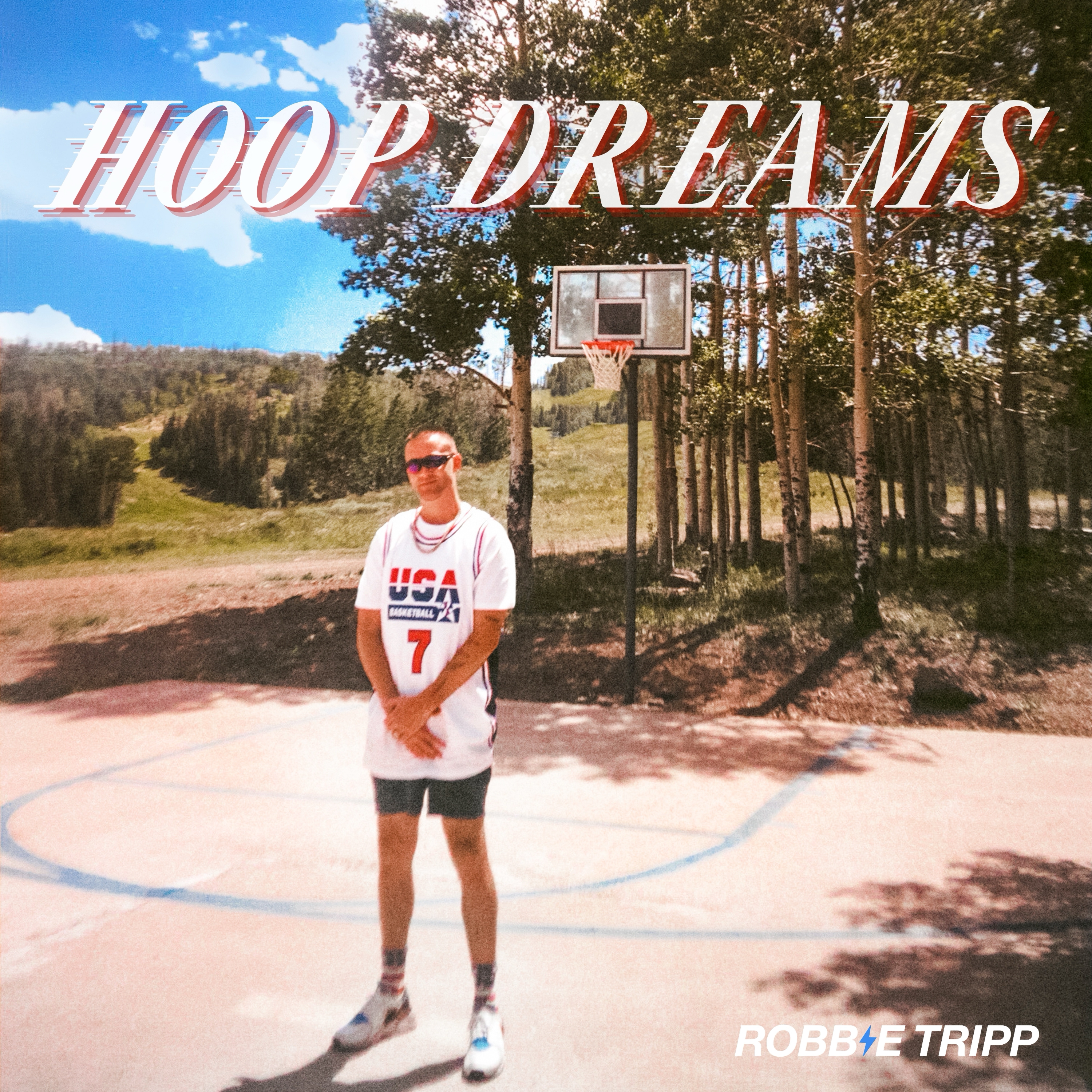 HOOP DREAMS artwork
