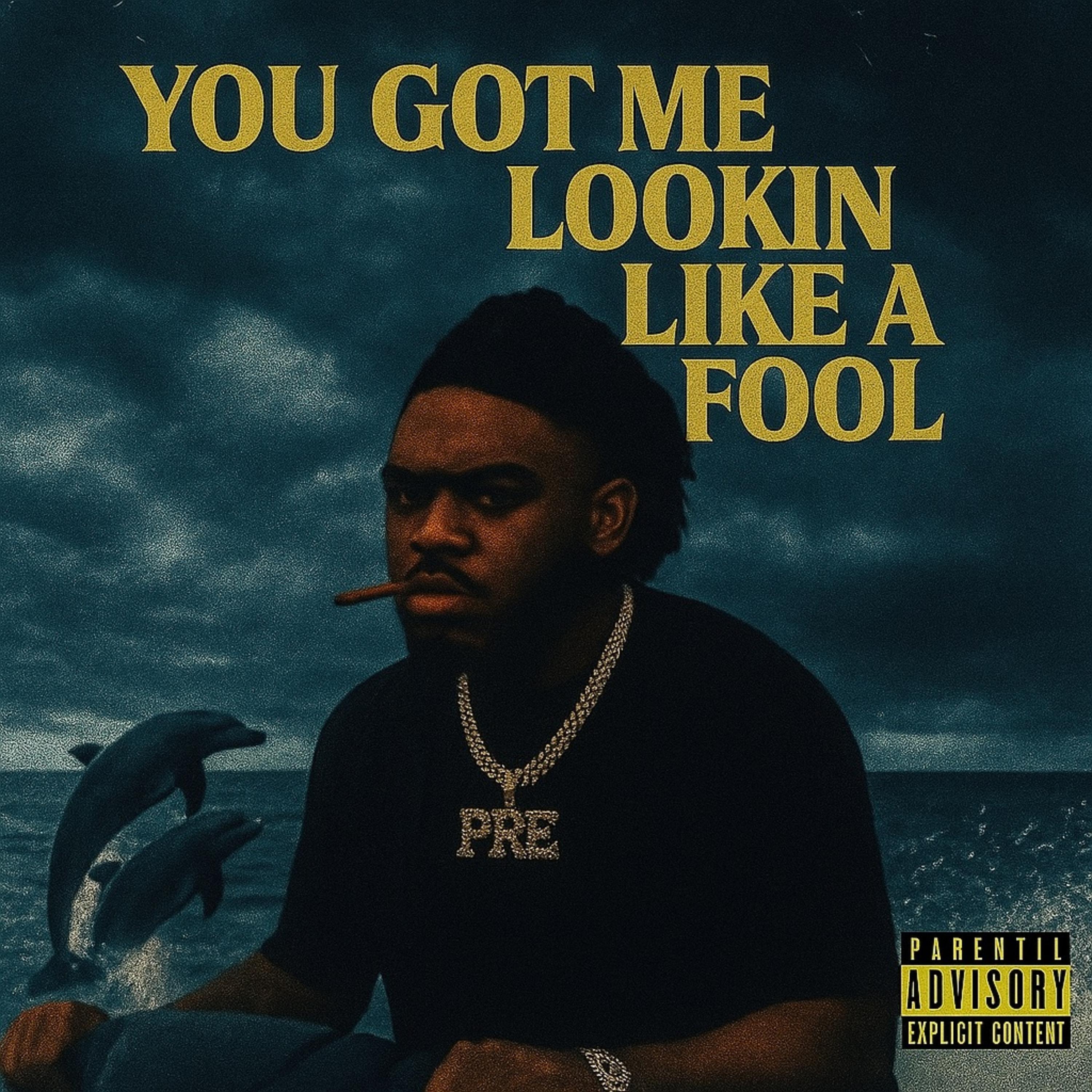 You Got Me Lookin Like A Fool artwork