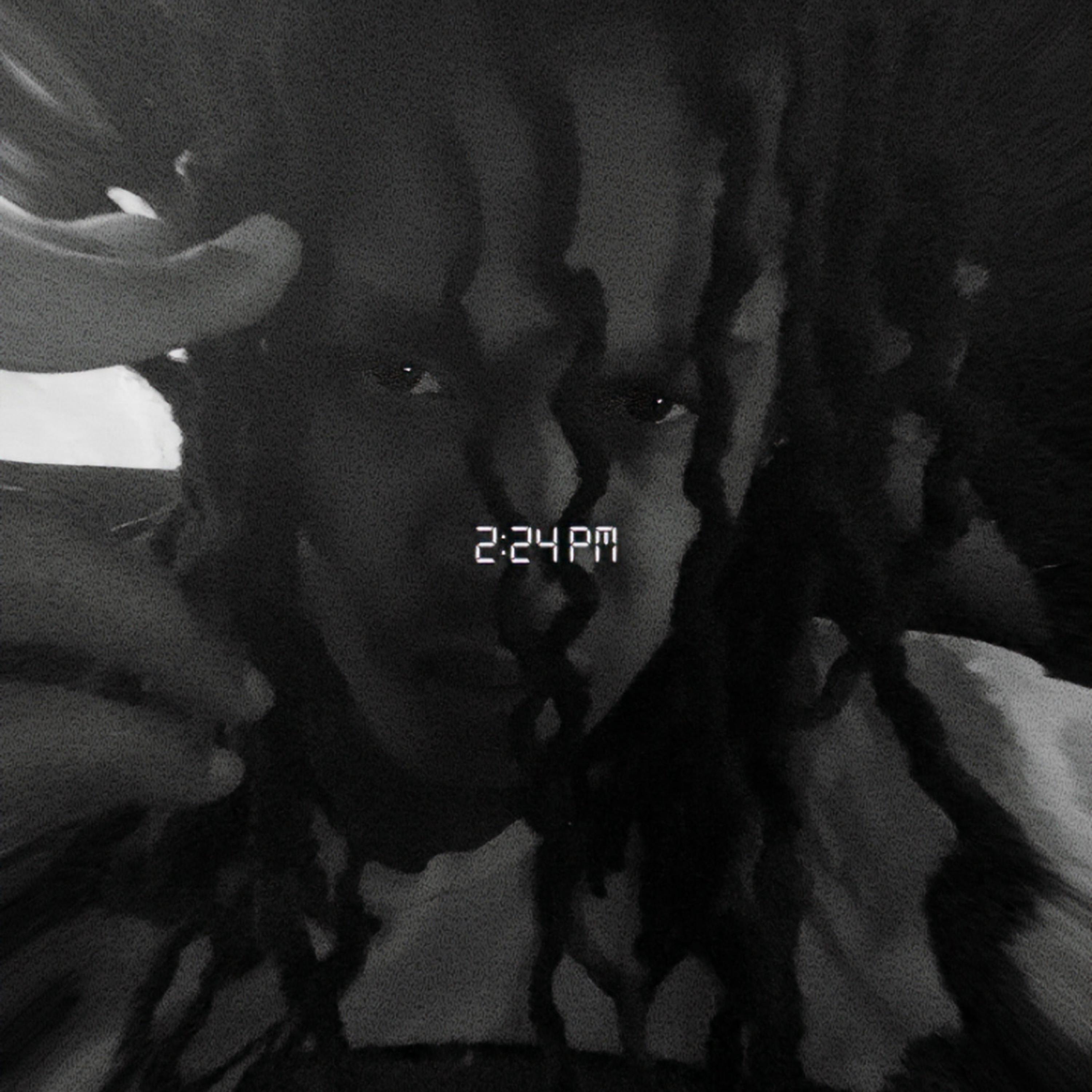 Nobody Knows artwork