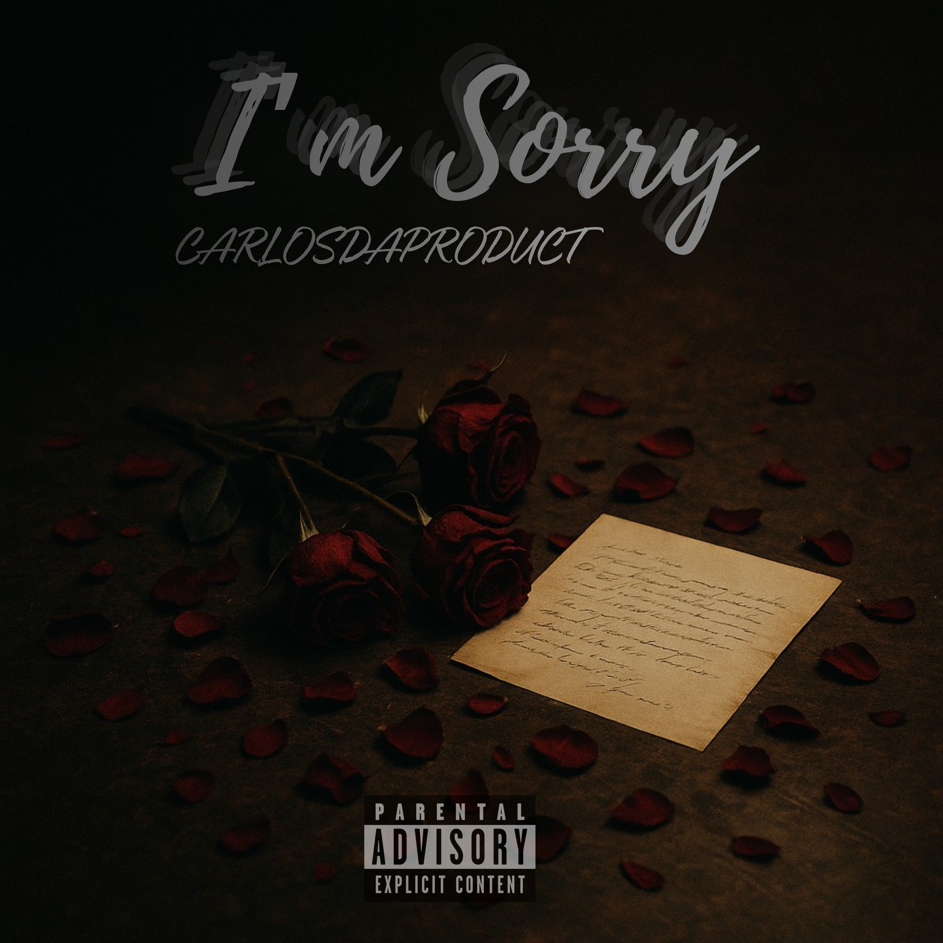 IM SORRY artwork