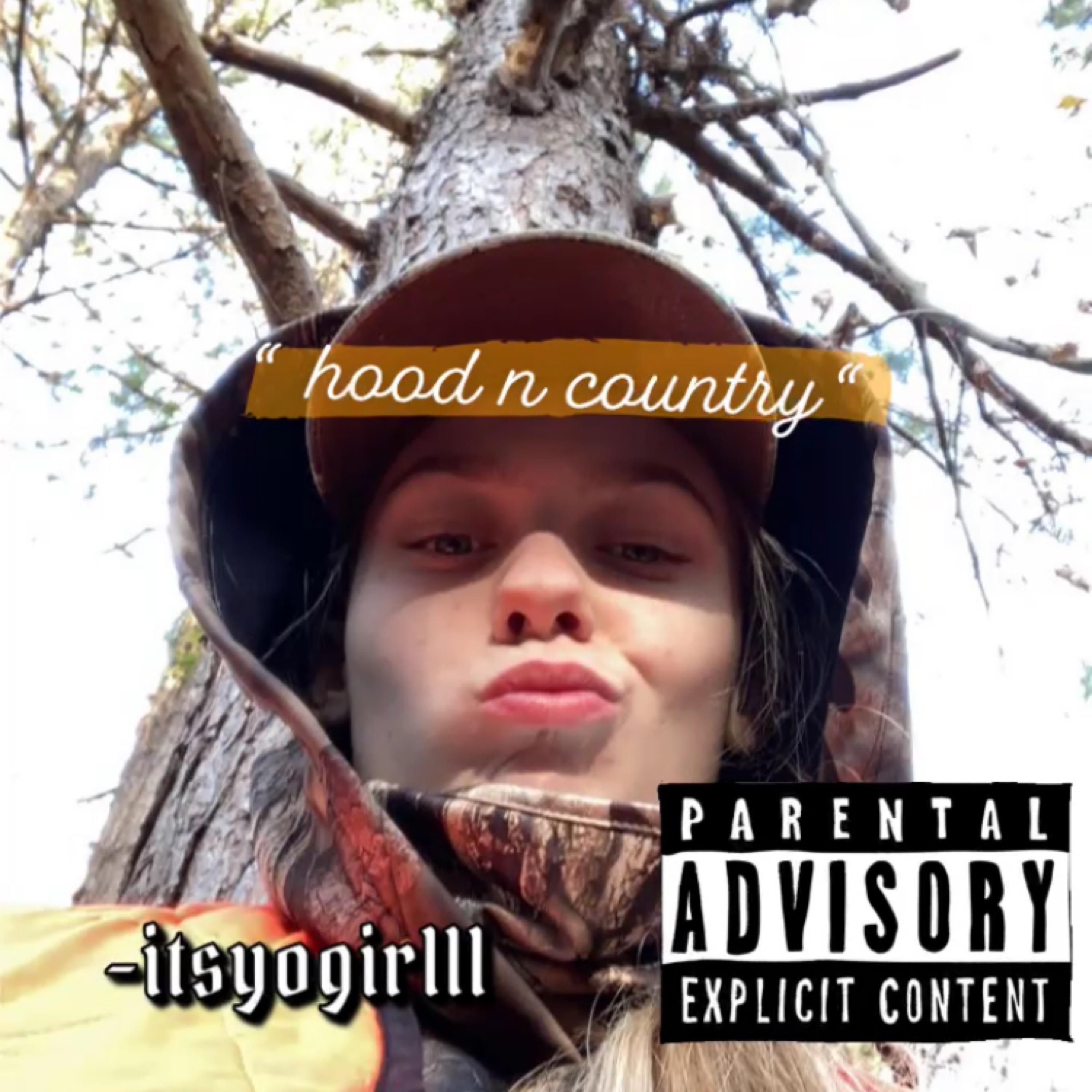 hood n country artwork