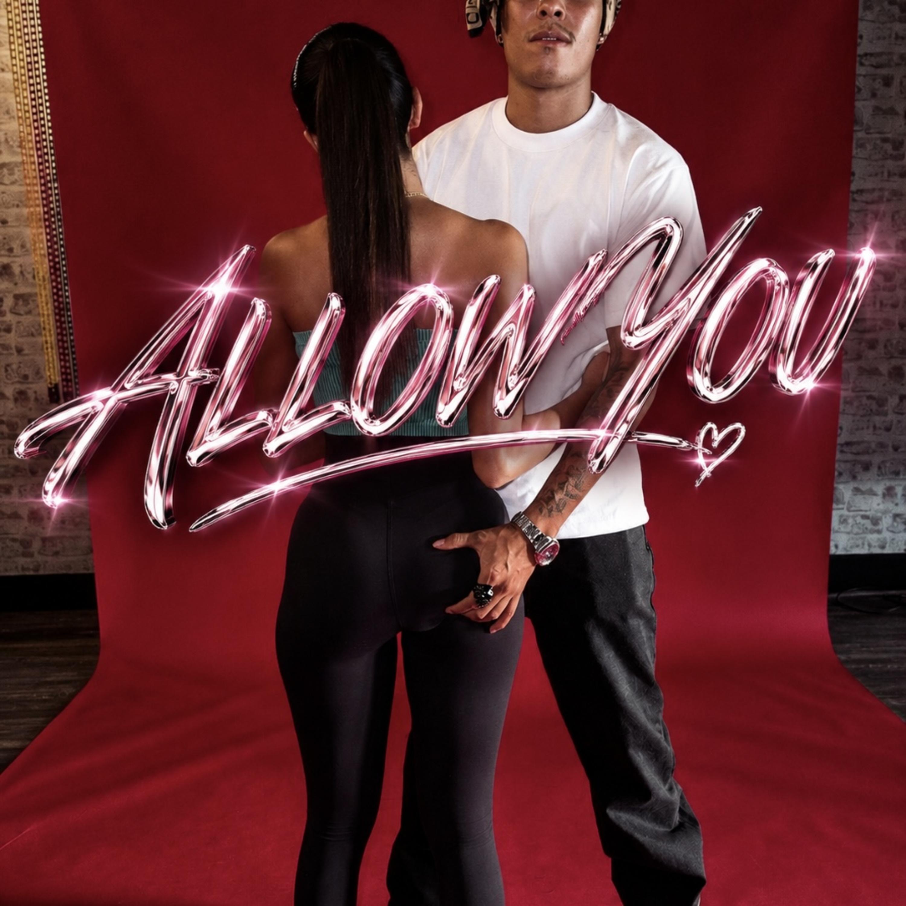 Allow YOu by Niella Diamond cover art