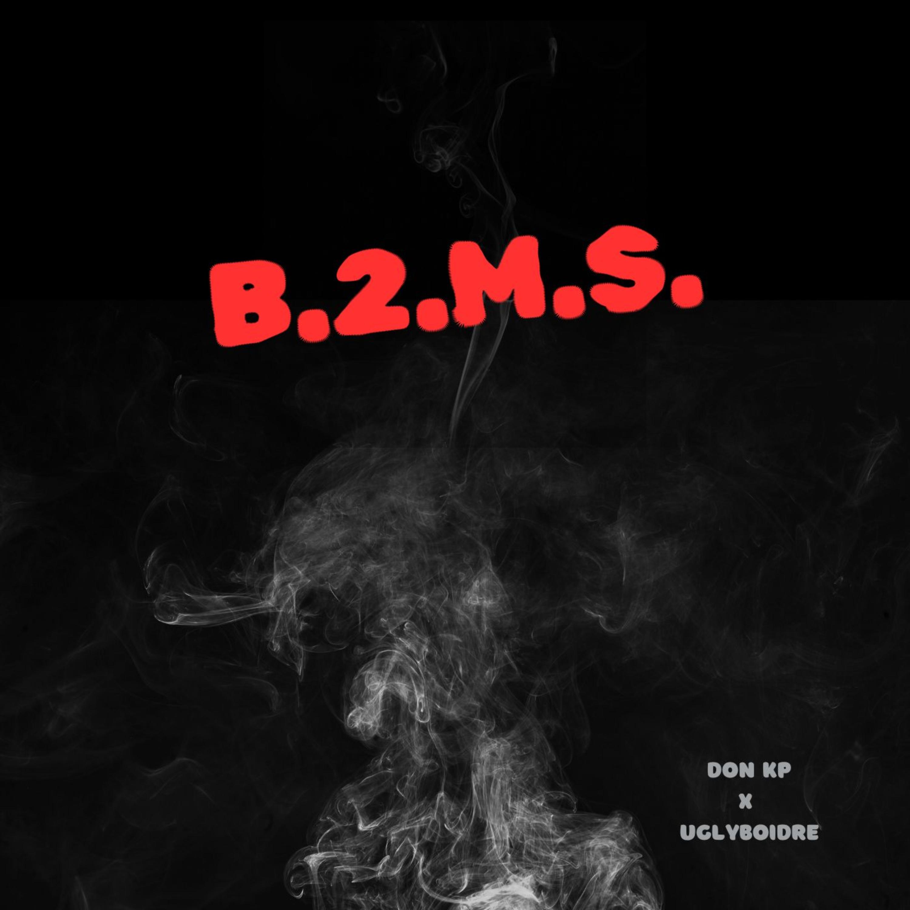 B2MS artwork