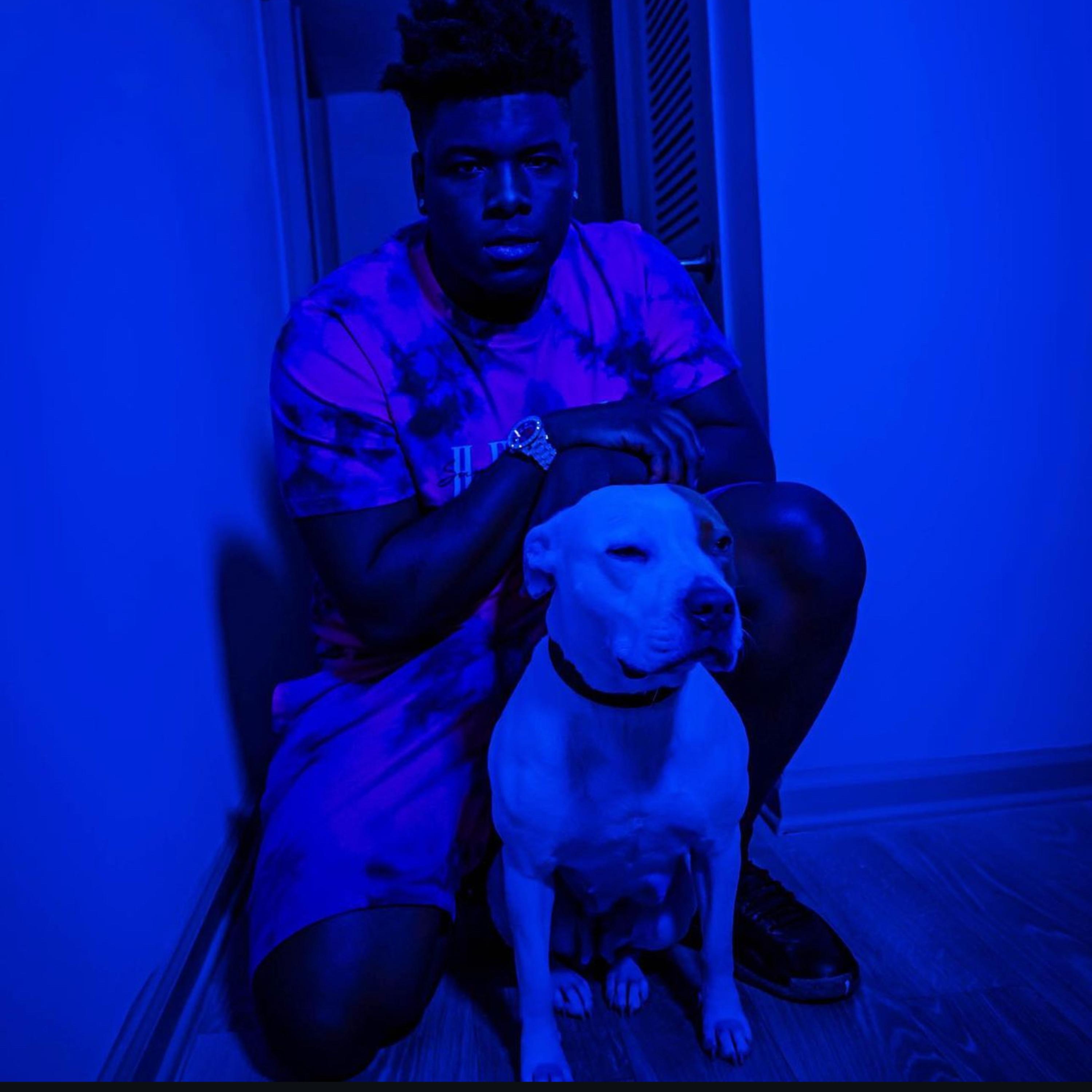 Visionz From Blo 2 artwork