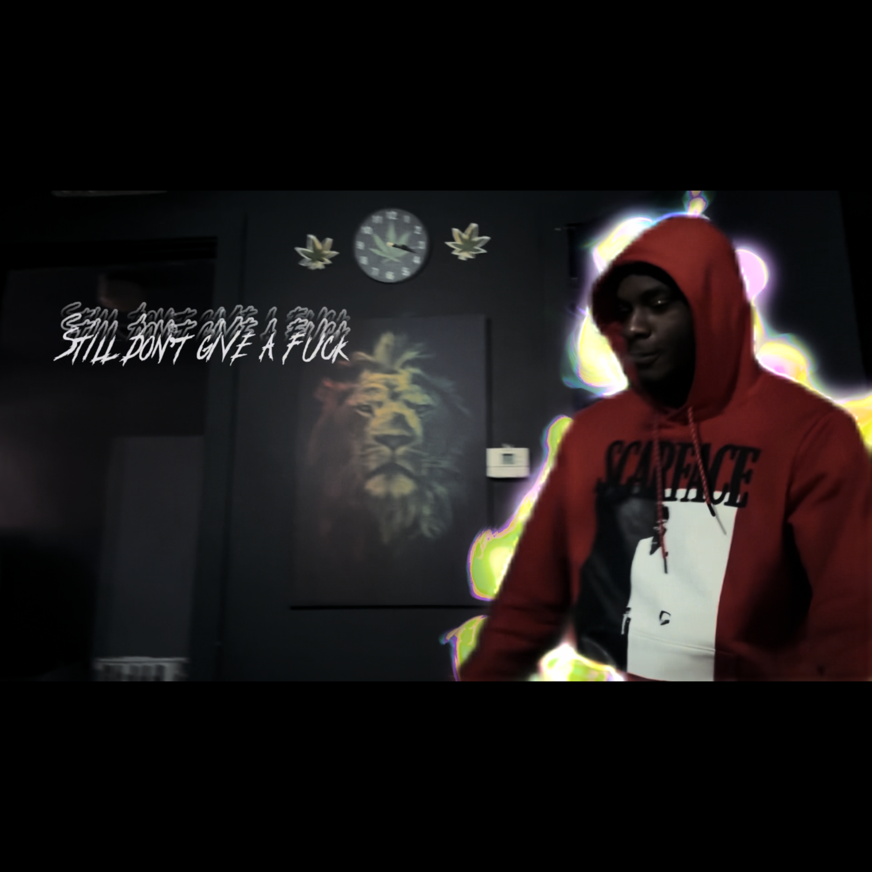 Still Don’t Give A Fuck artwork