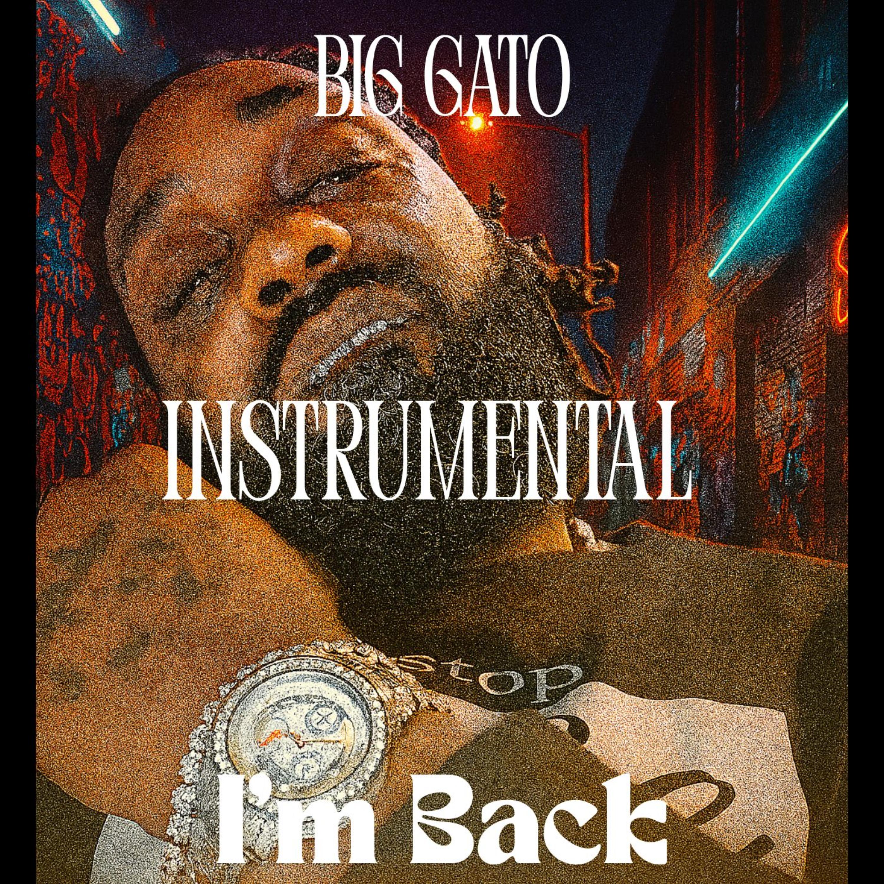 I'm Back (Instrumental) artwork