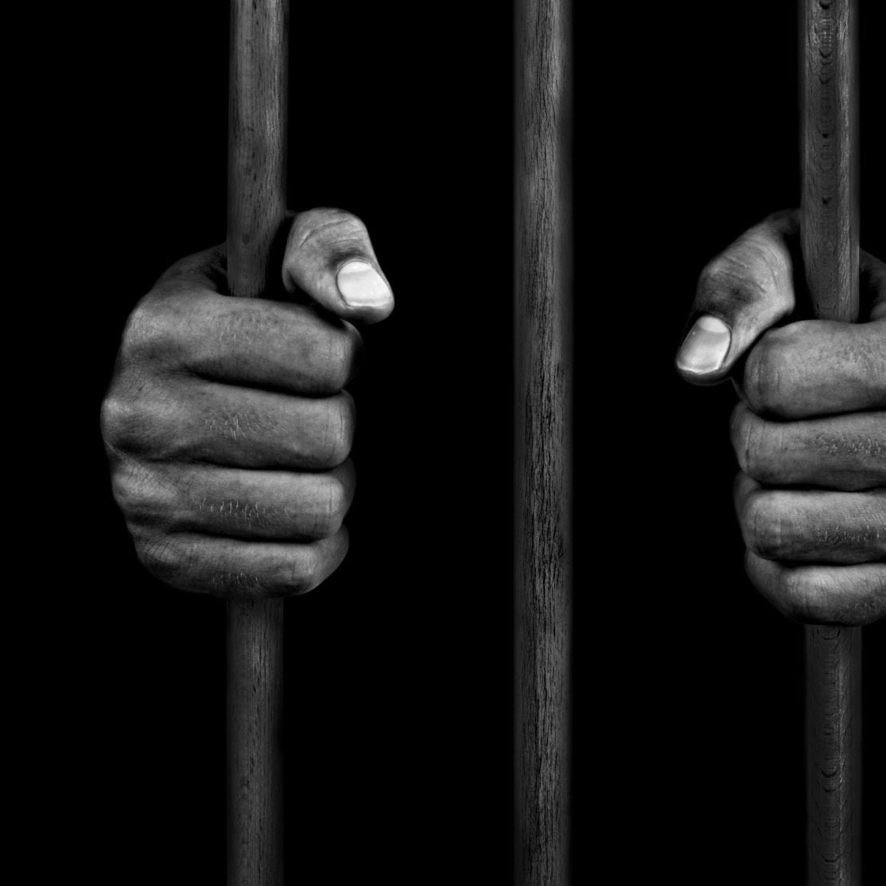 Prisoners by GMG_Grizz cover art