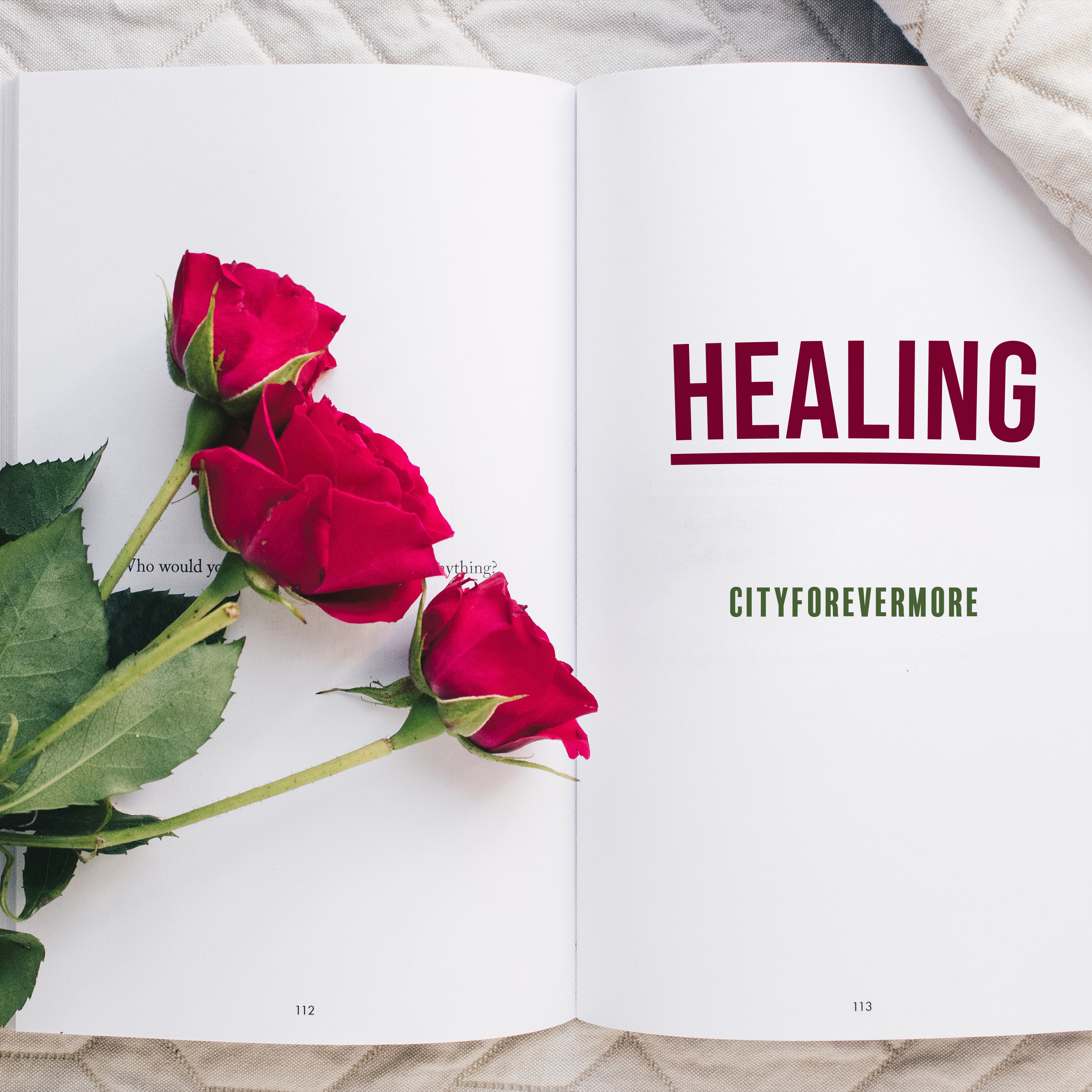 HEALING artwork