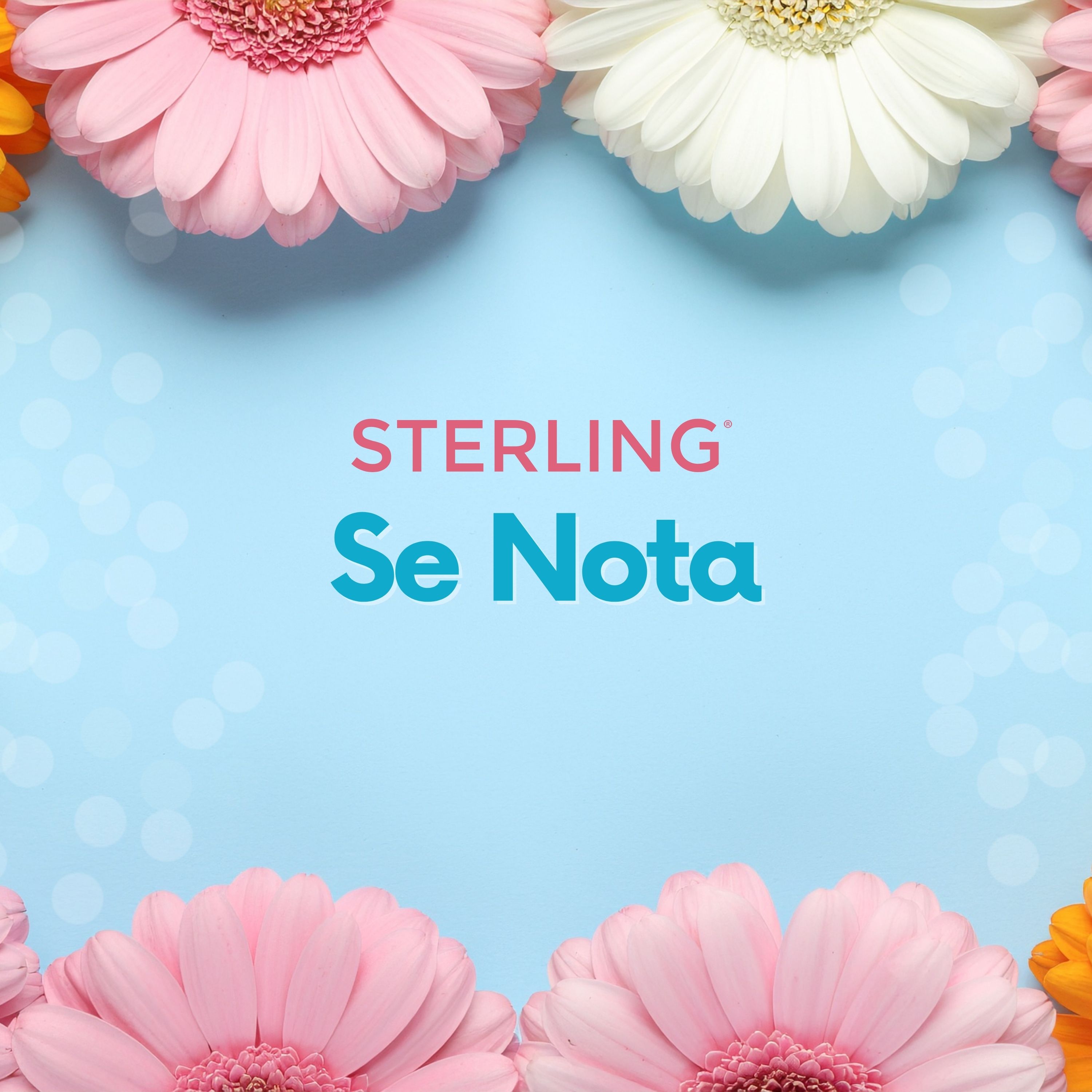 Sterling Se Nota artwork