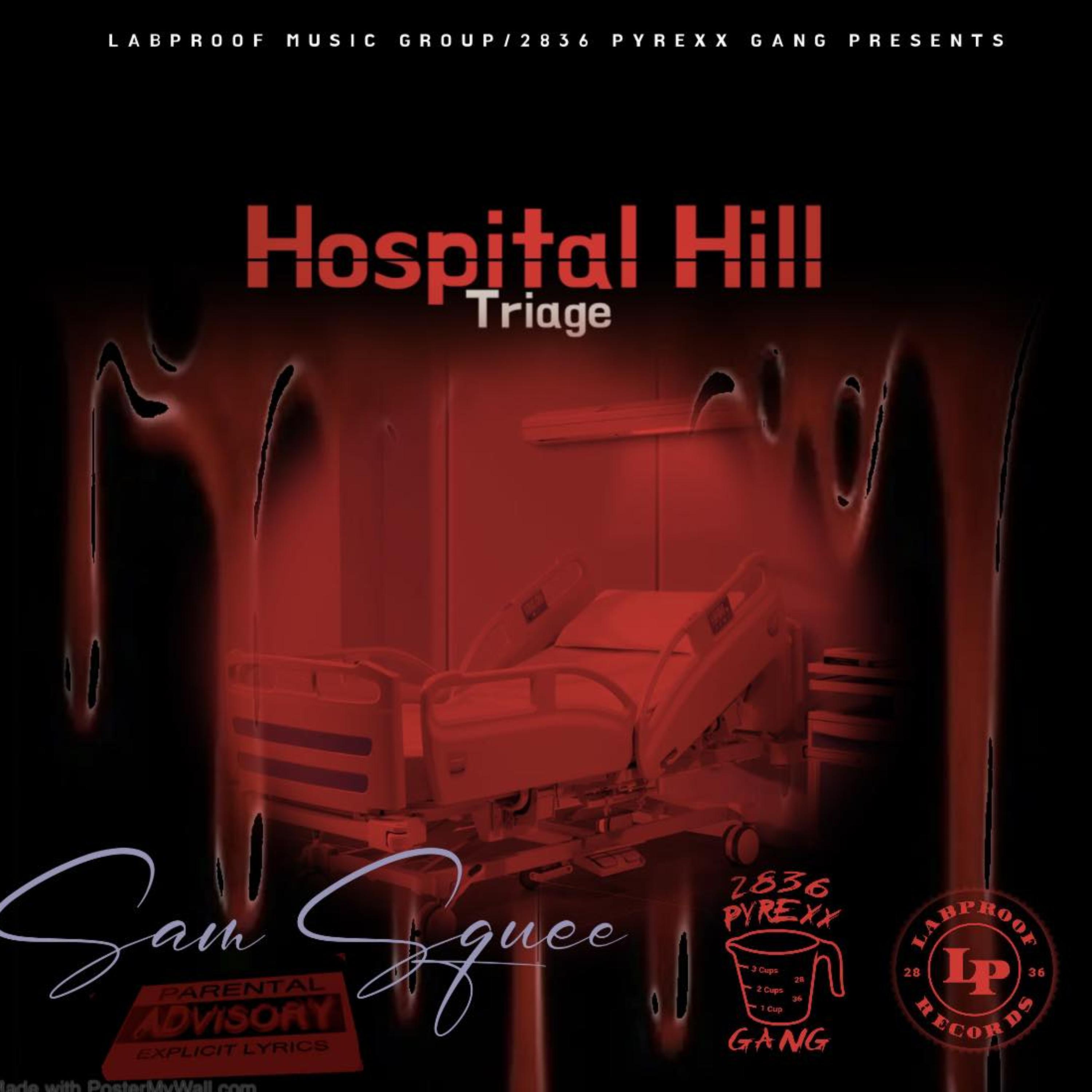Hospital Hill 3 by Sam Squee cover art