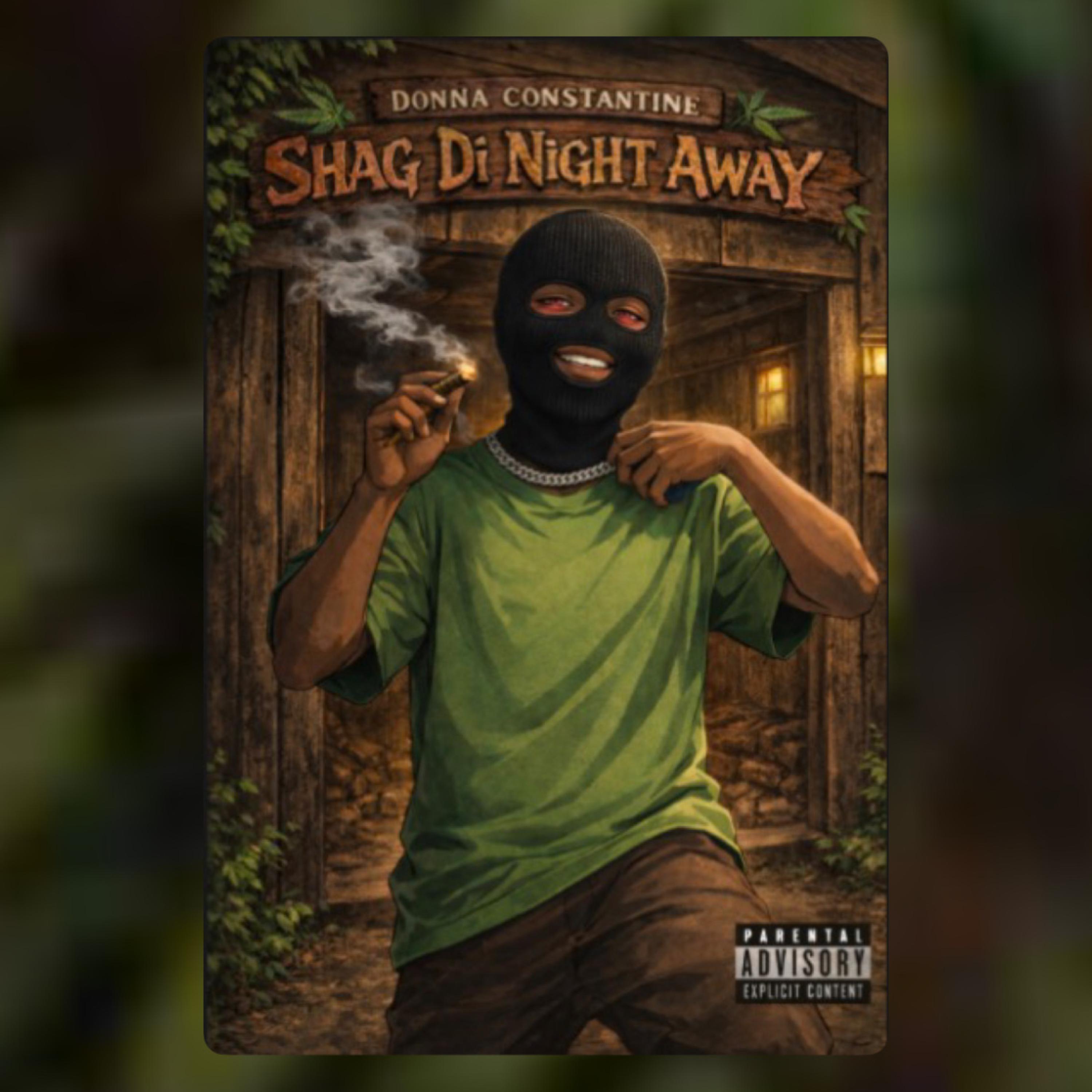 Shag Di Night Away artwork