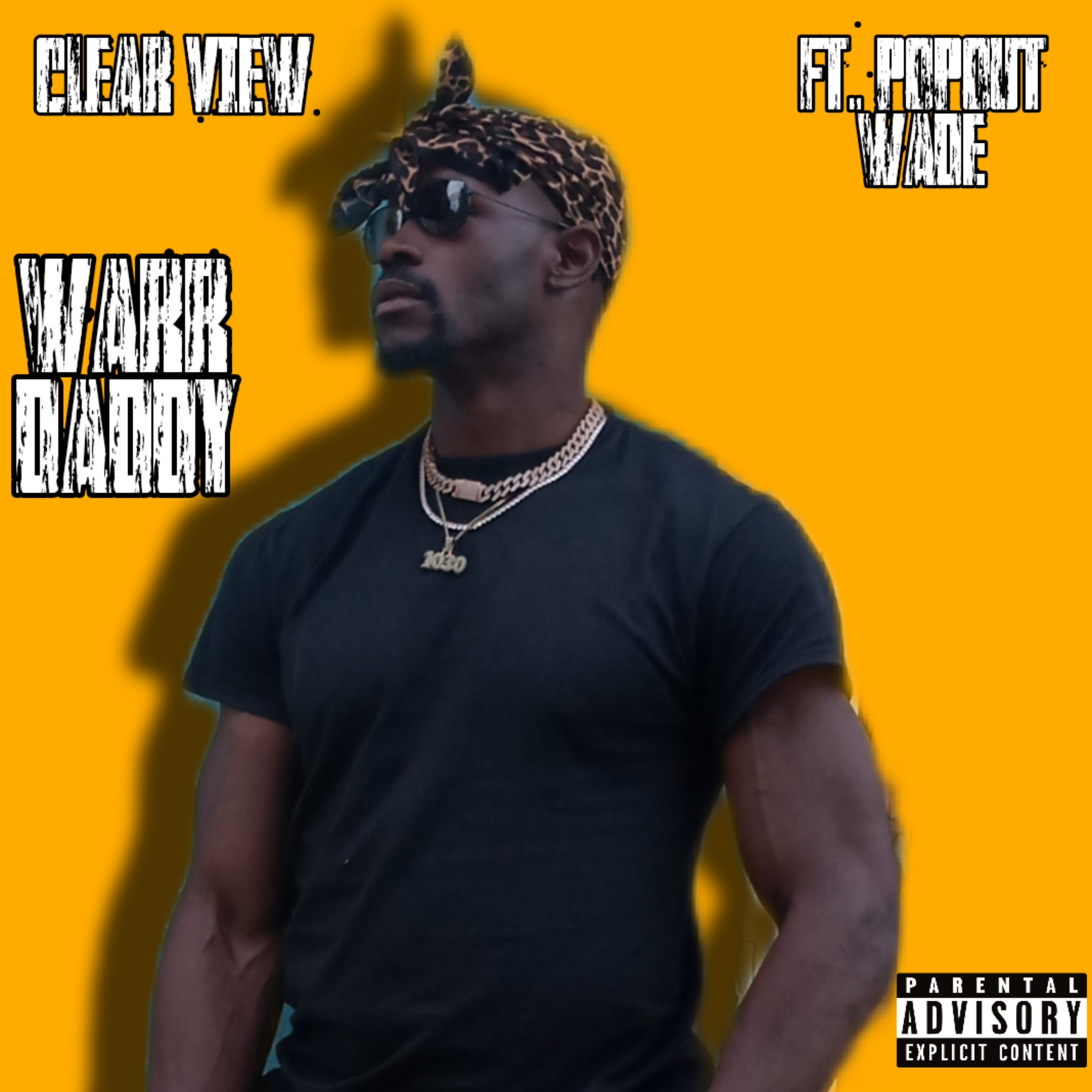 CLEAR VIEW artwork