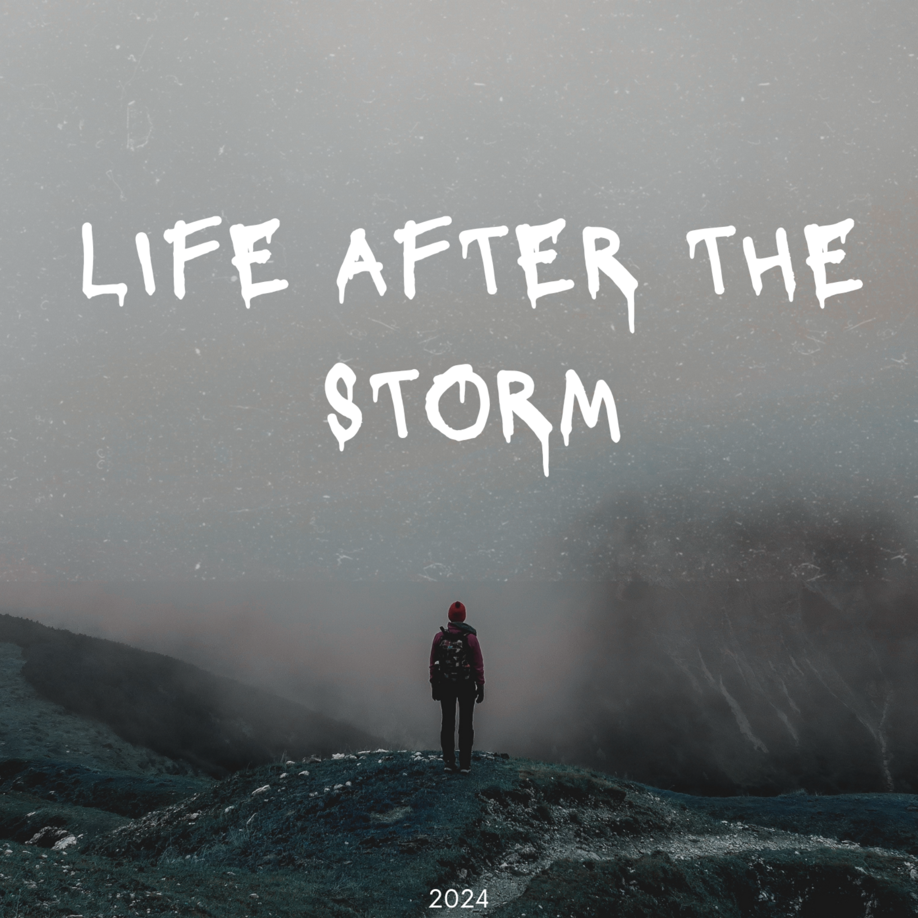 Life After The Storm artwork