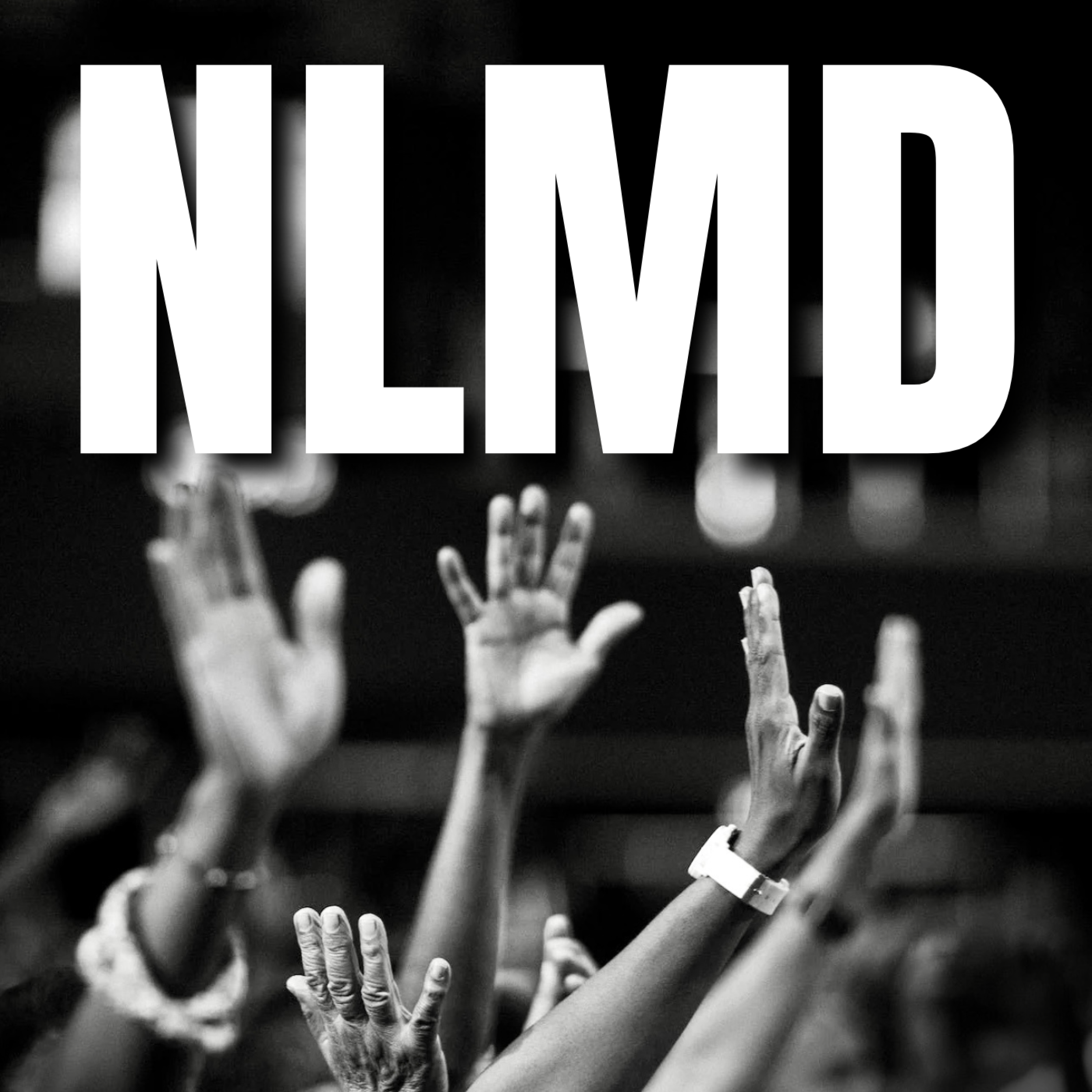 N.L.M.D. artwork