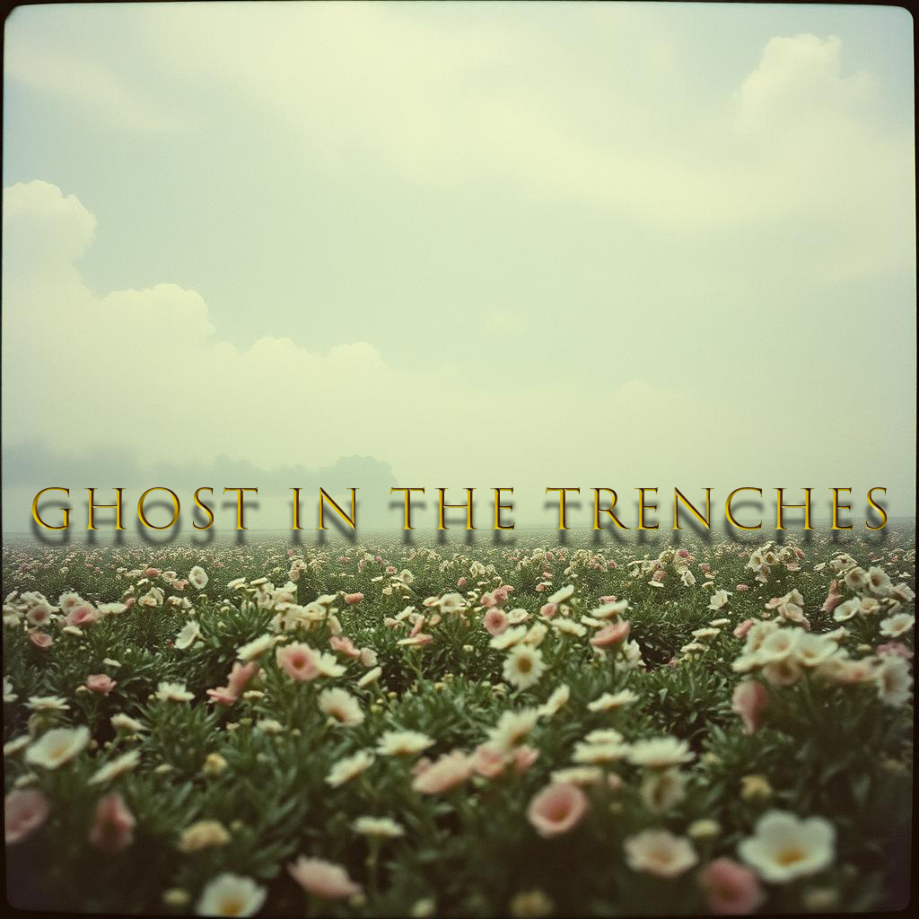 Ghost In The Trenches artwork