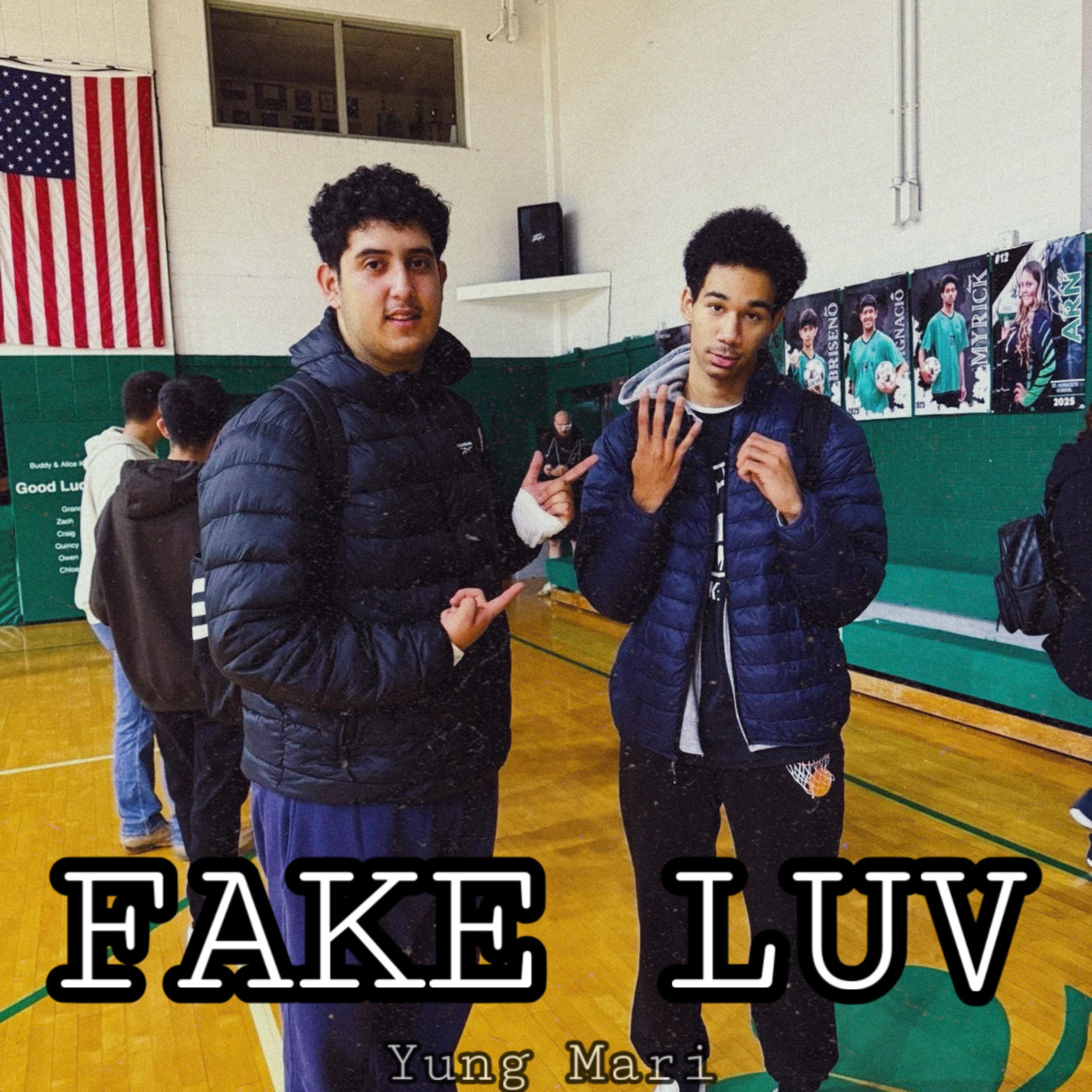 FAKE LUV artwork