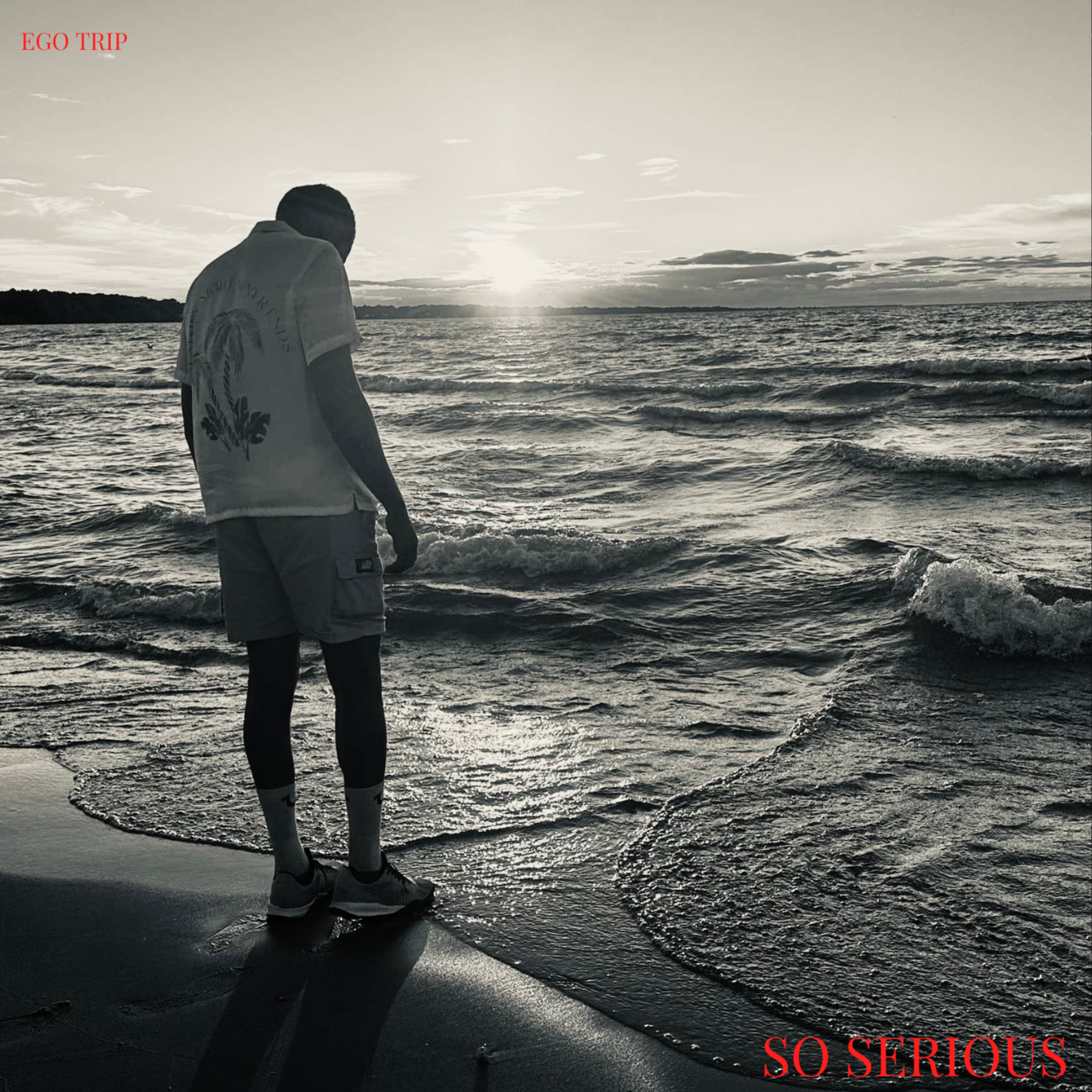 So Serious artwork