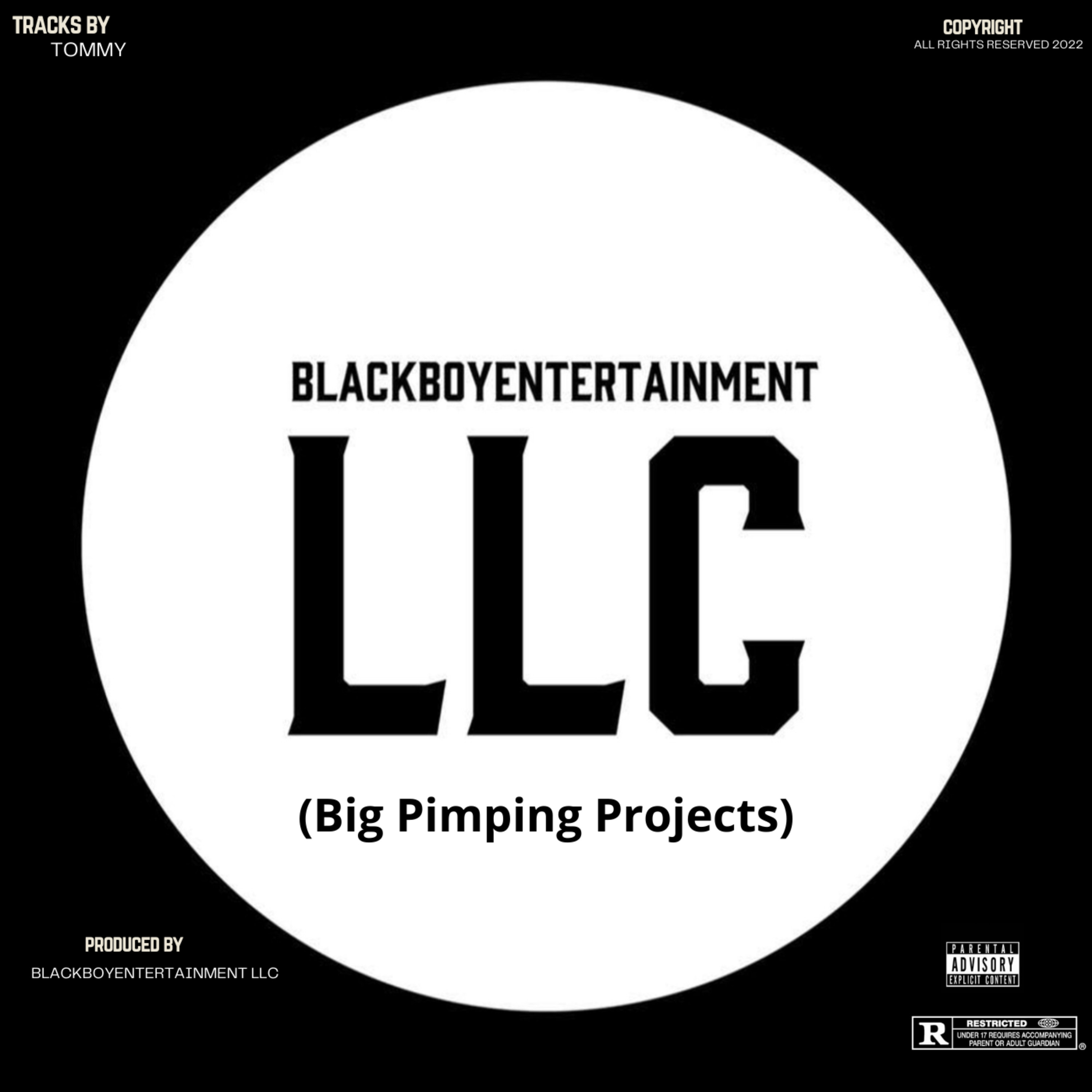 BlackBoyEntertainment LLC (Big Pimping Projects) artwork