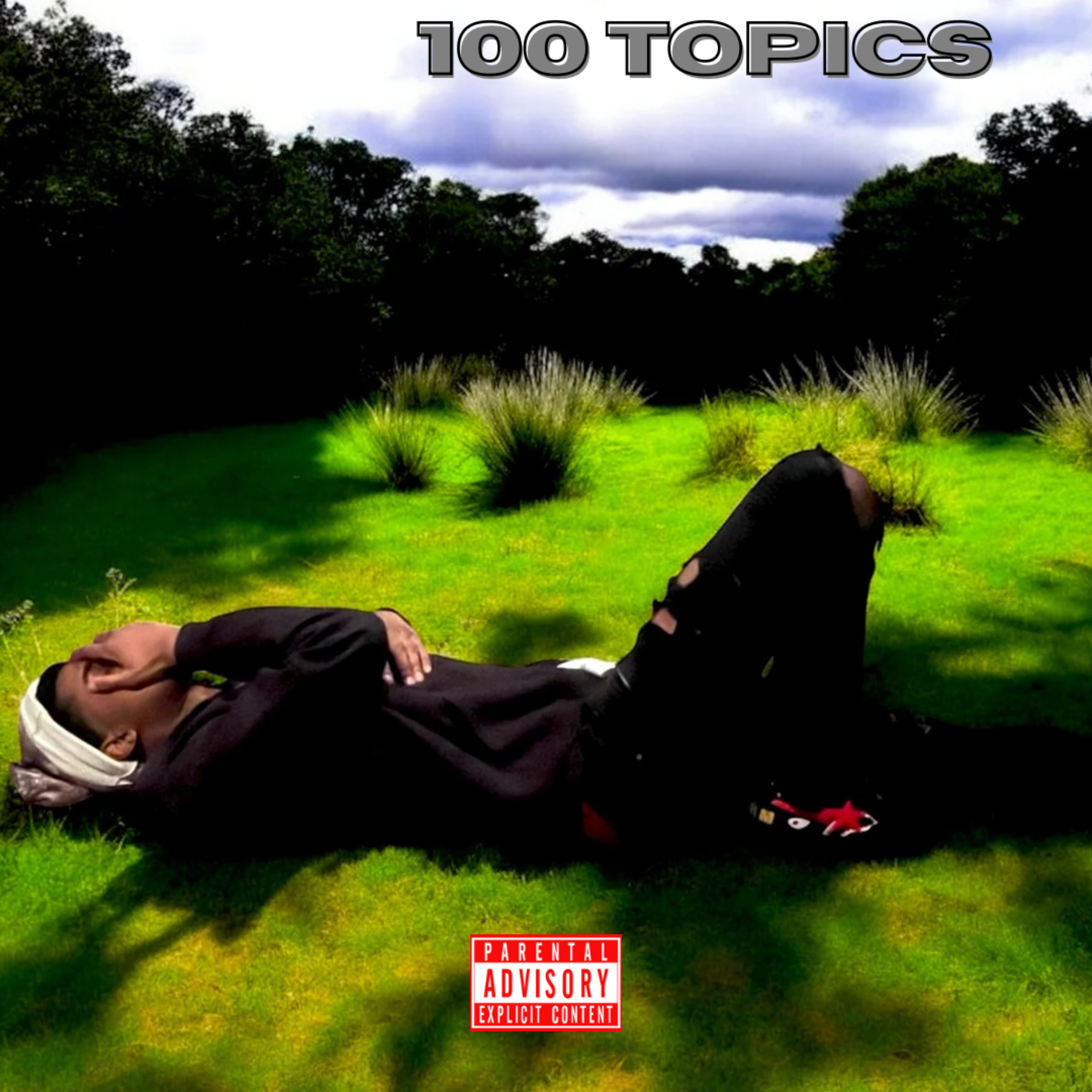 100 Topics artwork