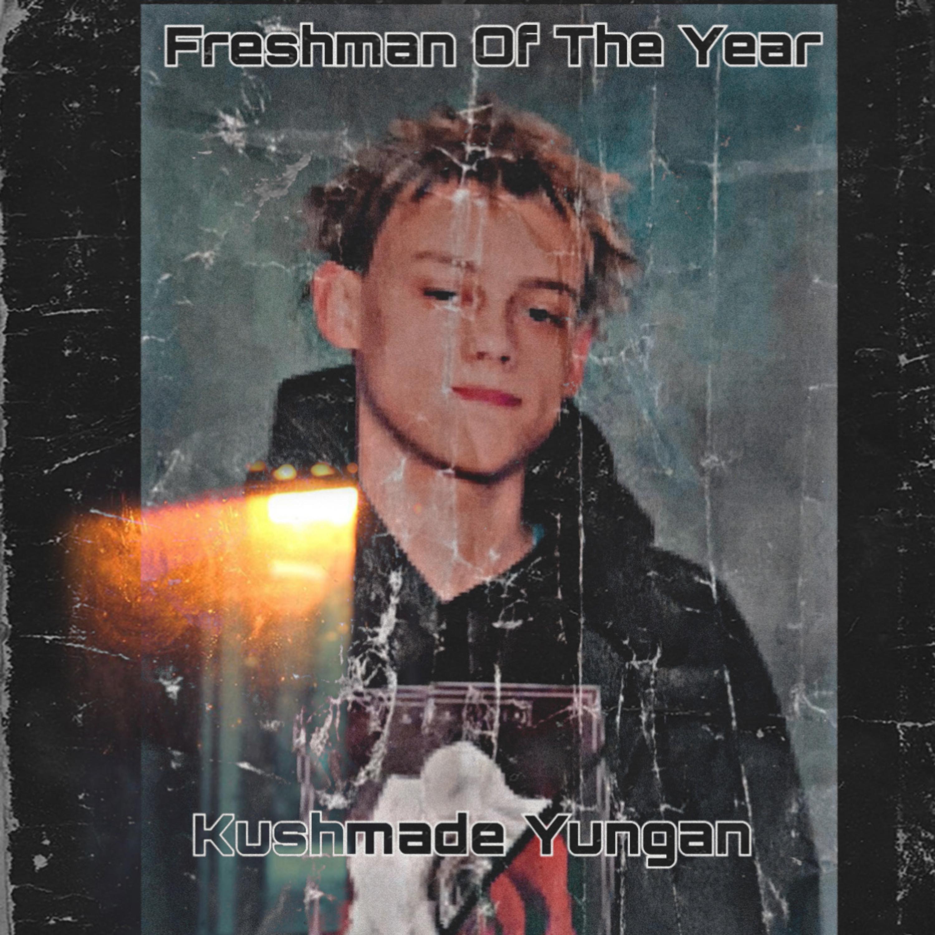 Freshman Of The Year artwork