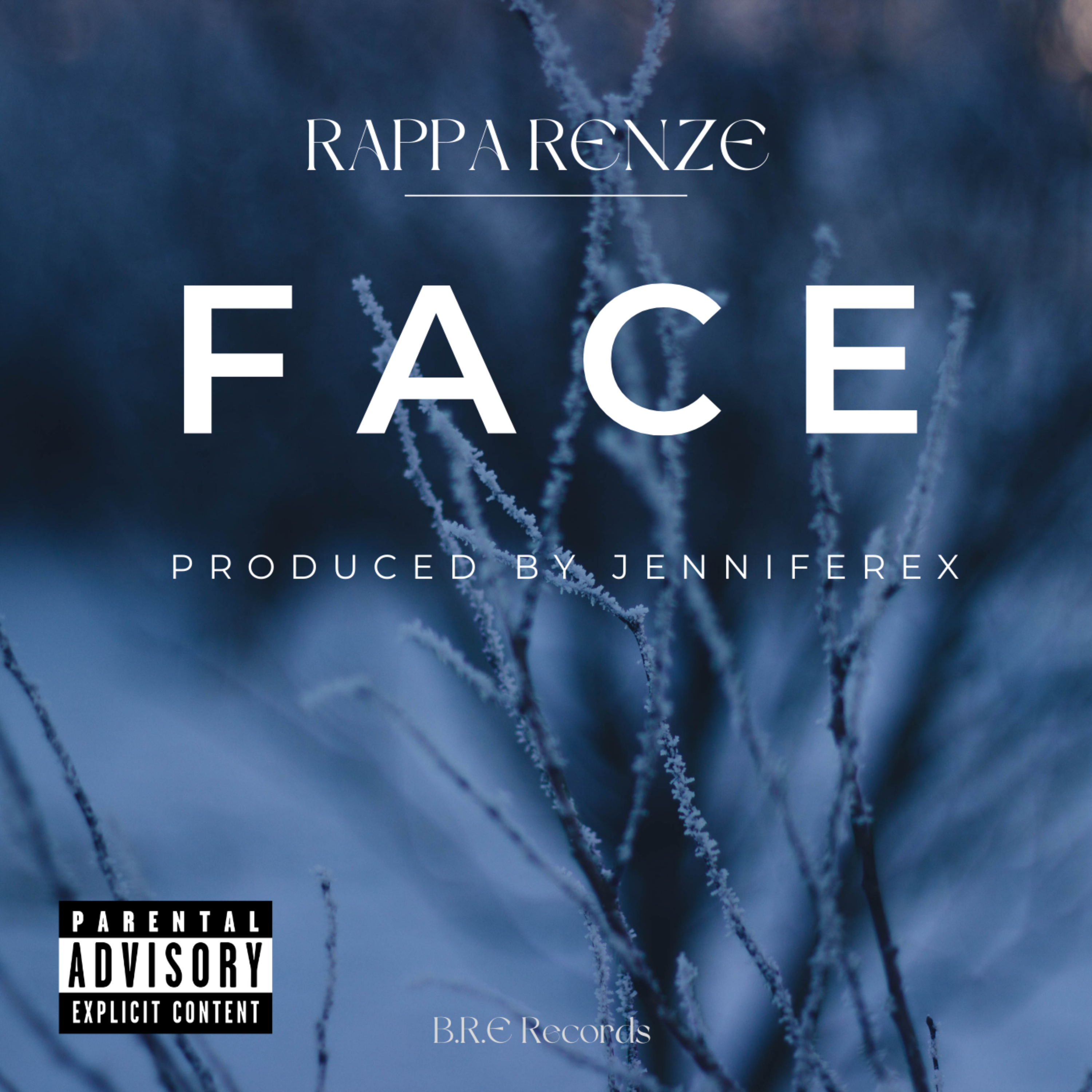 Face artwork