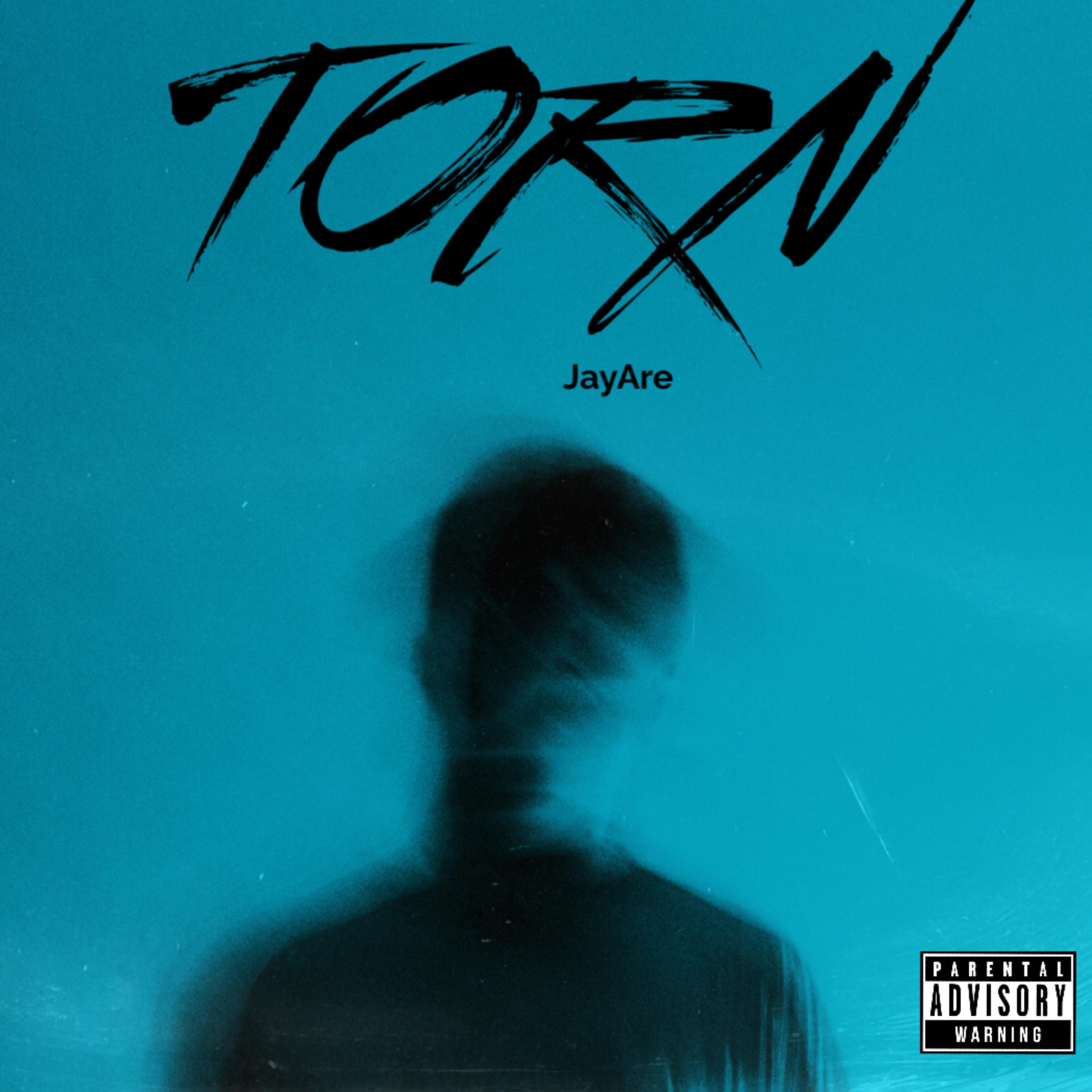 TORN artwork