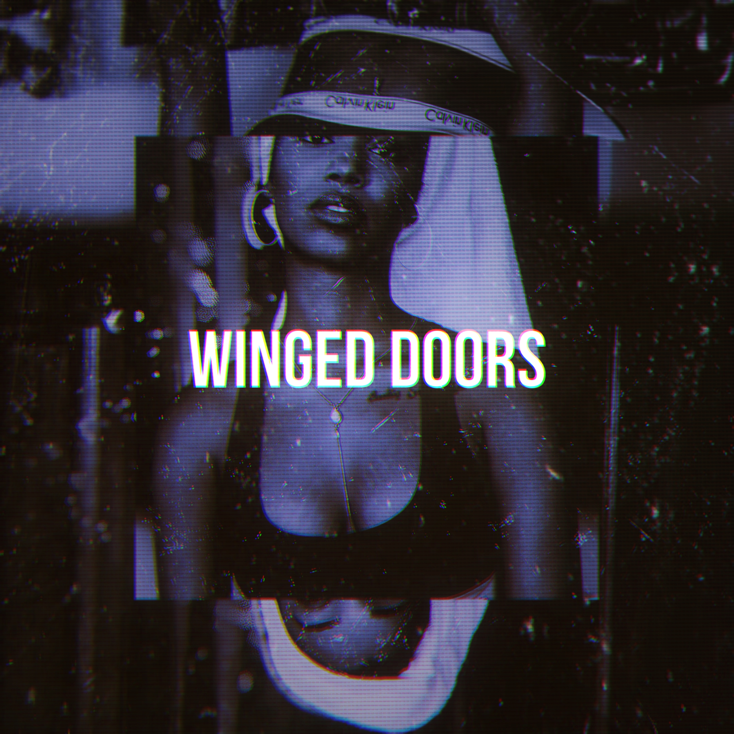 WINGED DOORS artwork
